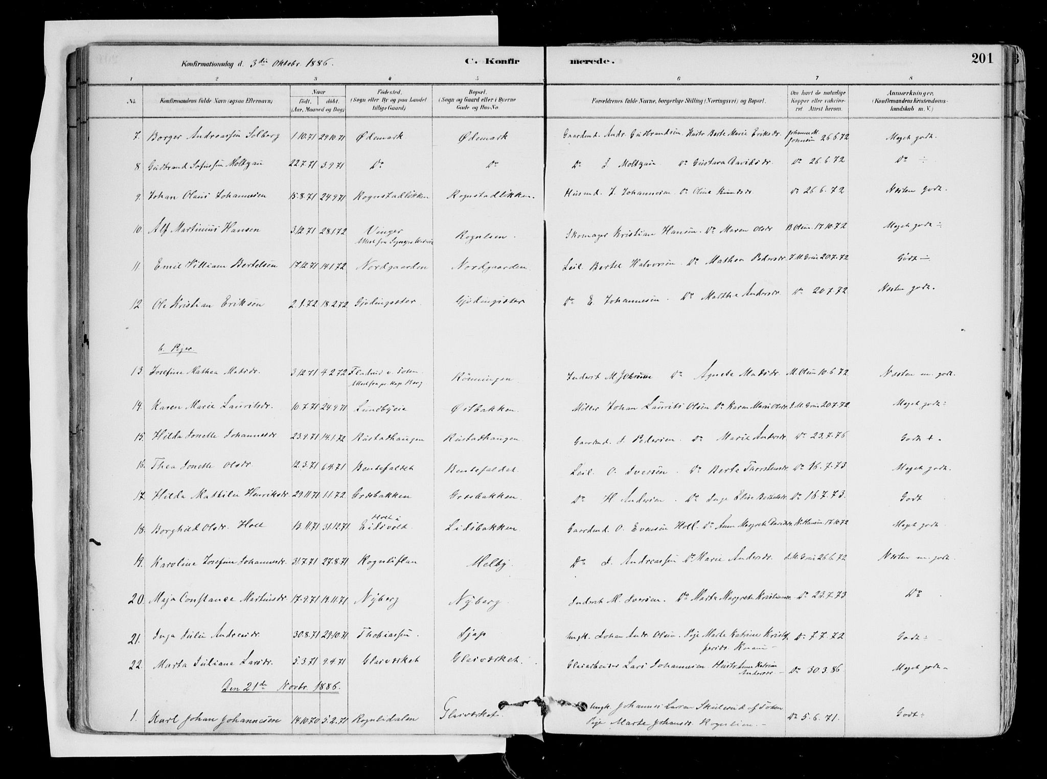 Hurdal prestekontor Kirkebøker, AV/SAO-A-10889/F/Fa/L0007: Parish register (official) no. I 7, 1878-1906, p. 201