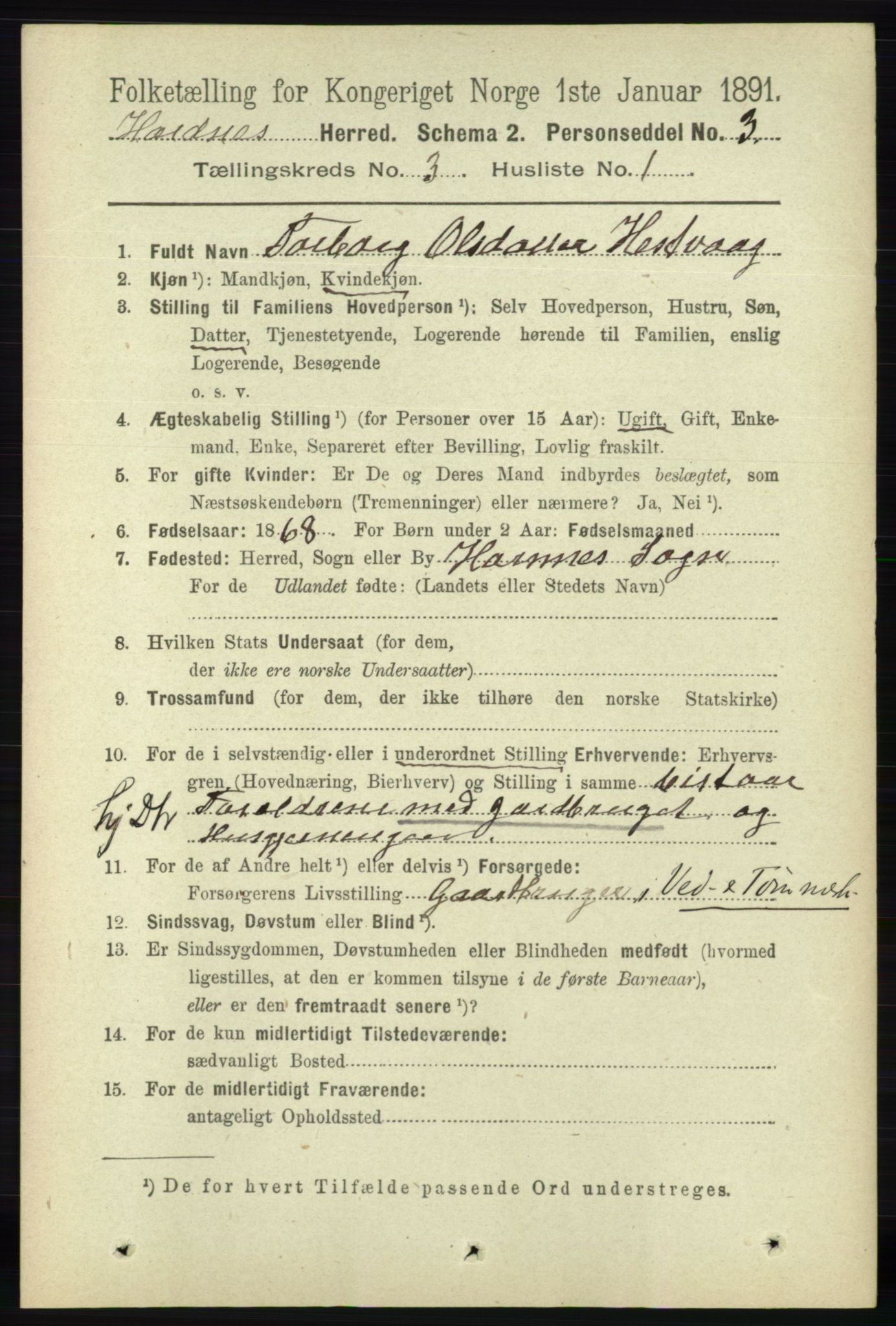 RA, 1891 census for 0936 Hornnes, 1891, p. 545