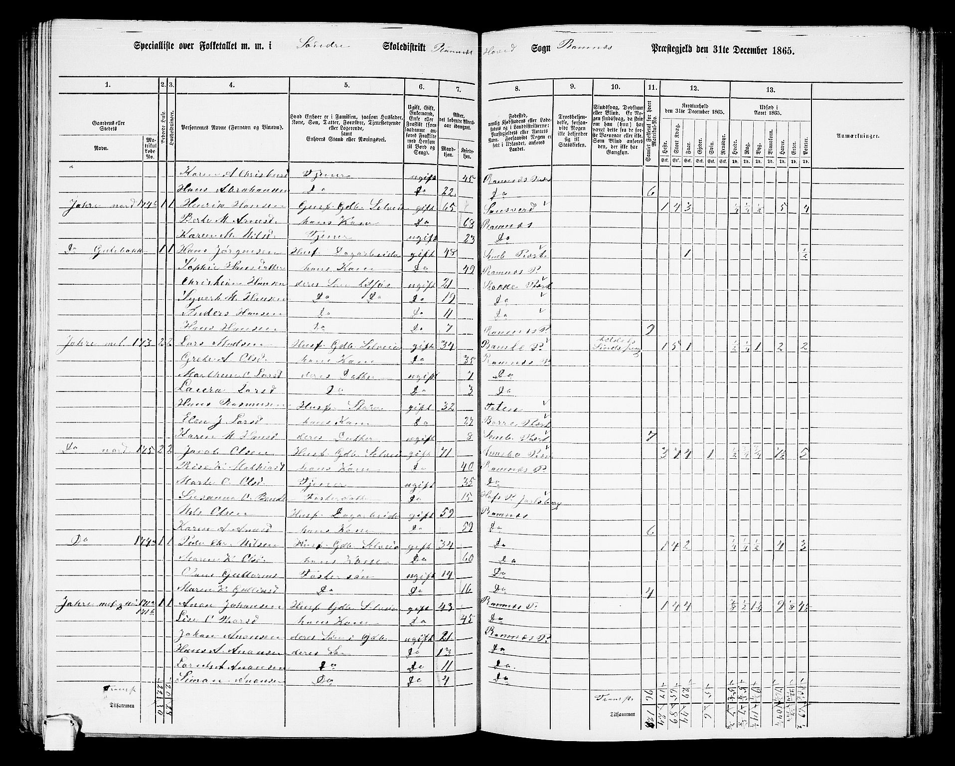 RA, 1865 census for Ramnes, 1865, p. 31