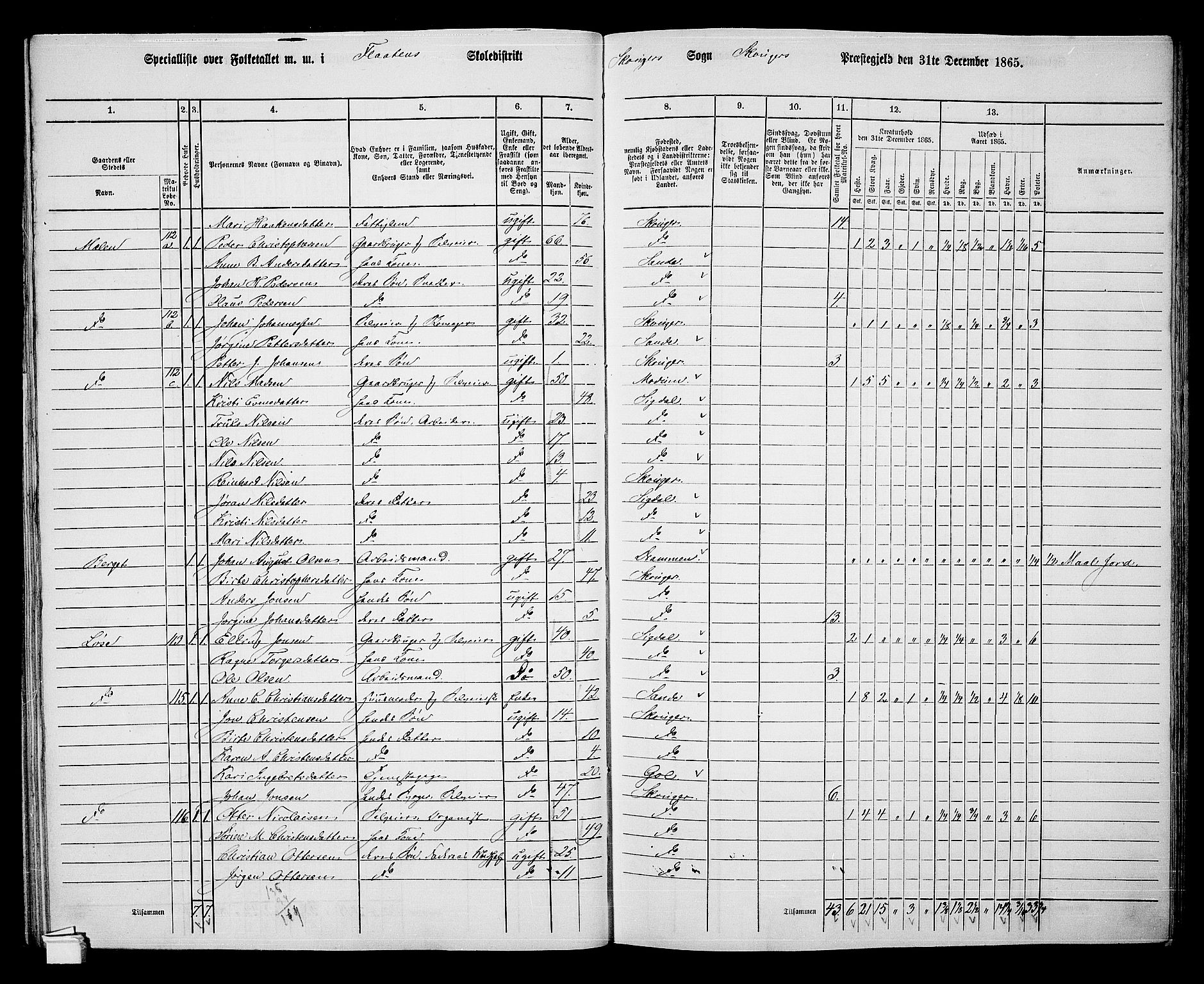 RA, 1865 census for Skoger, 1865, p. 78