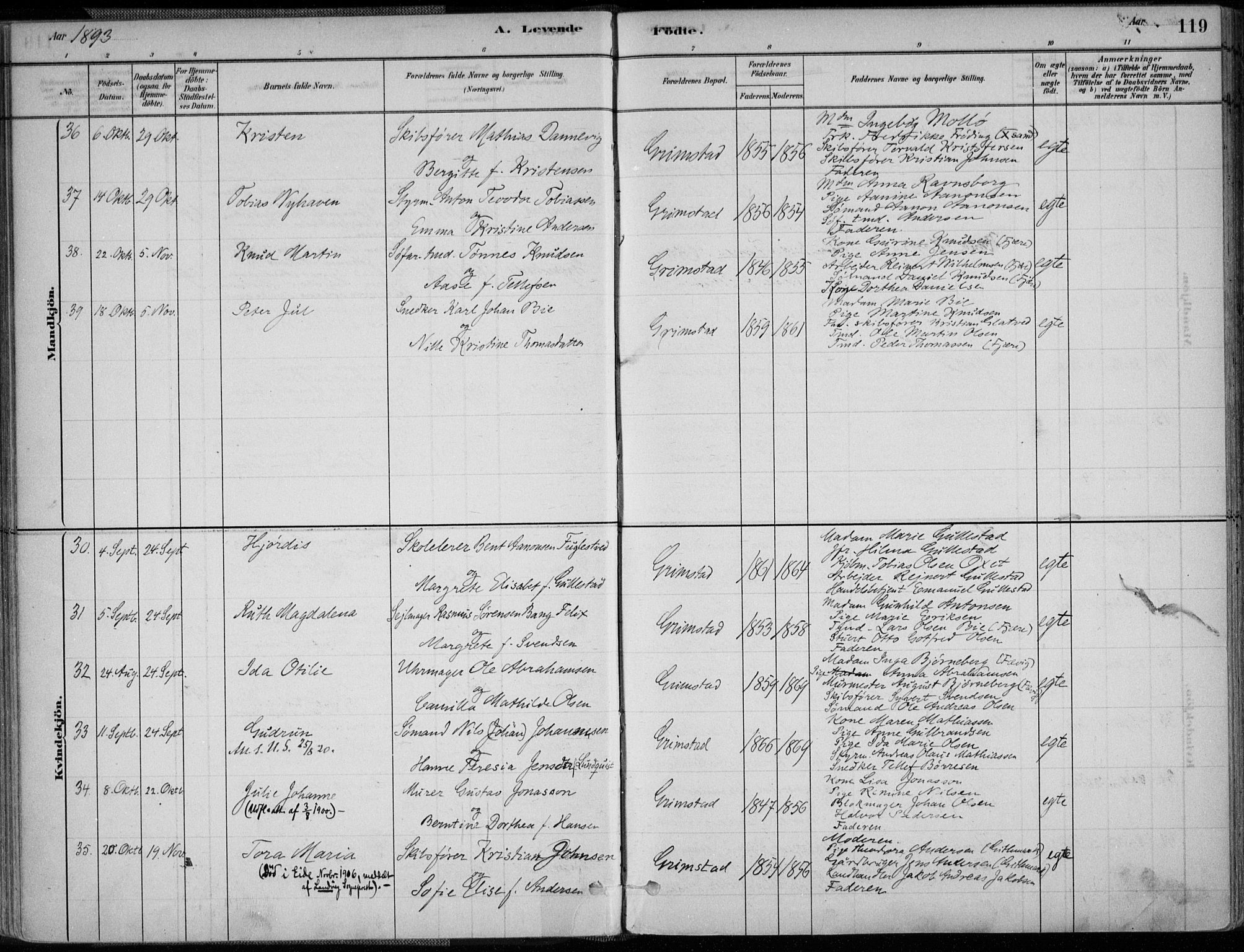 Grimstad sokneprestkontor, AV/SAK-1111-0017/F/Fa/L0003: Parish register (official) no. A 2, 1882-1912, p. 119