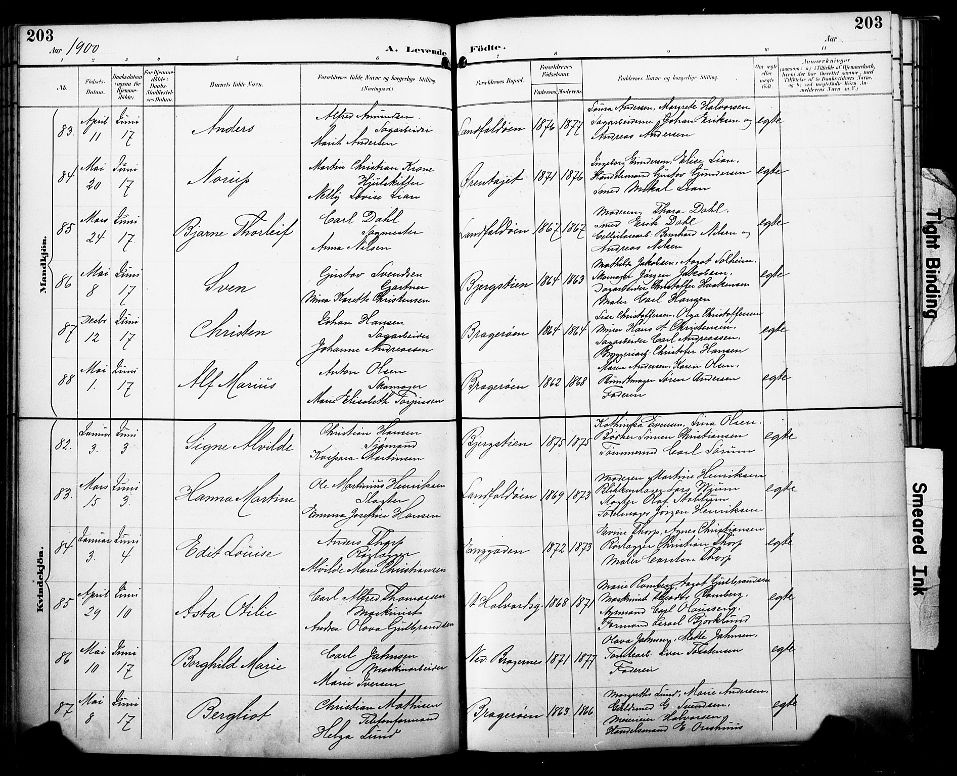 Bragernes kirkebøker, SAKO/A-6/F/Fb/L0008: Parish register (official) no. II 8, 1894-1902, p. 203