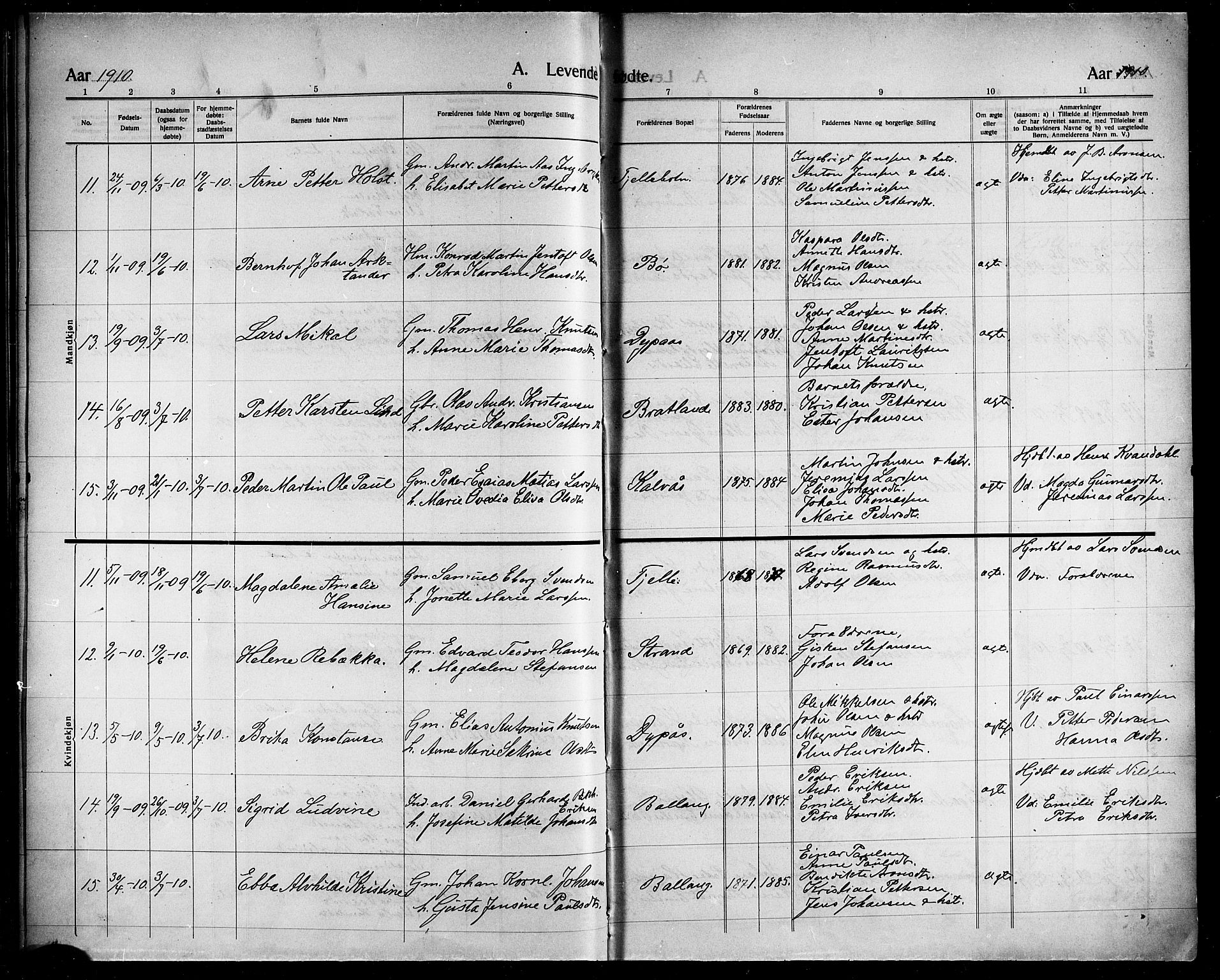 Ministerialprotokoller, klokkerbøker og fødselsregistre - Nordland, AV/SAT-A-1459/863/L0916: Parish register (copy) no. 863C06, 1907-1921