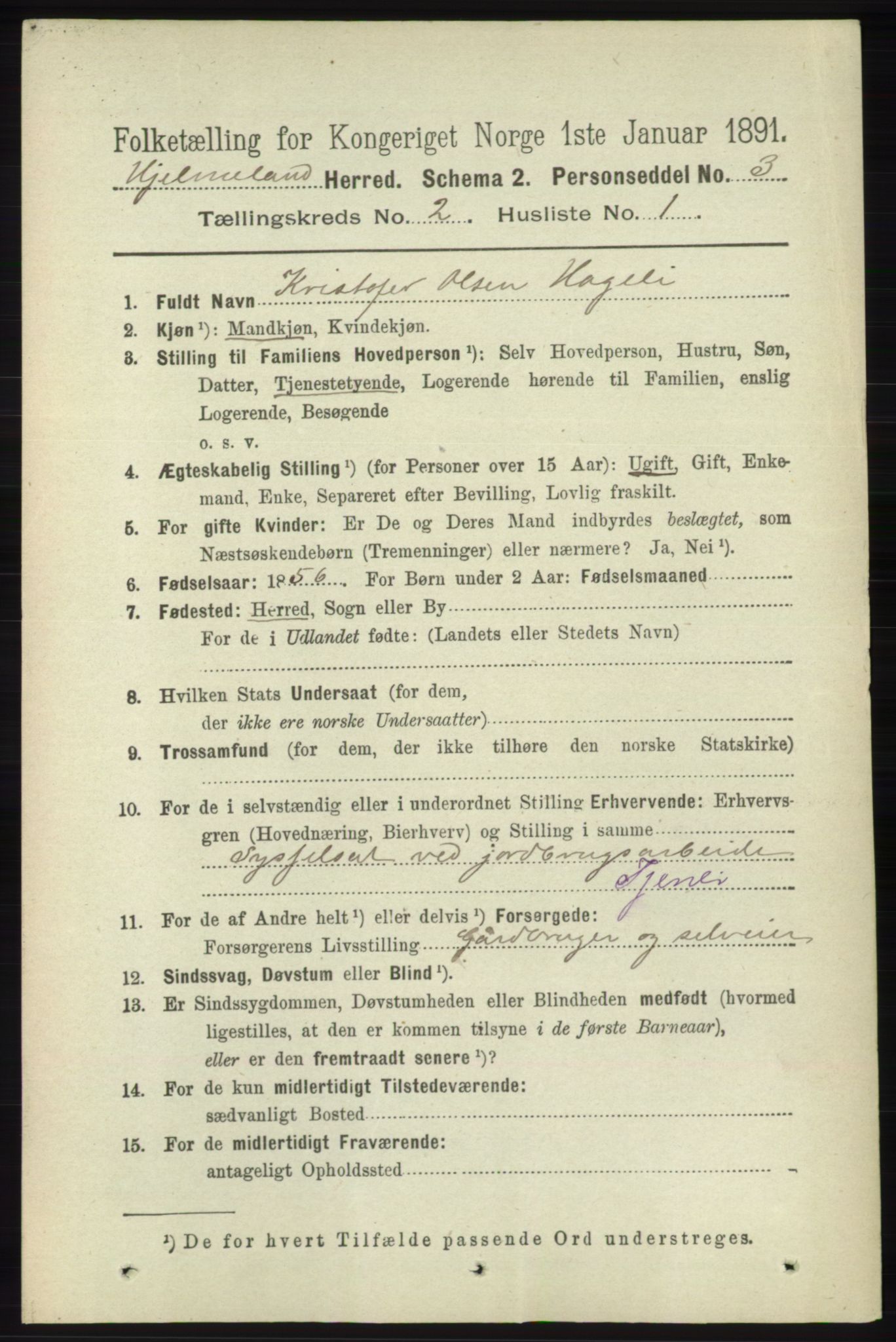 RA, 1891 census for 1133 Hjelmeland, 1891, p. 386