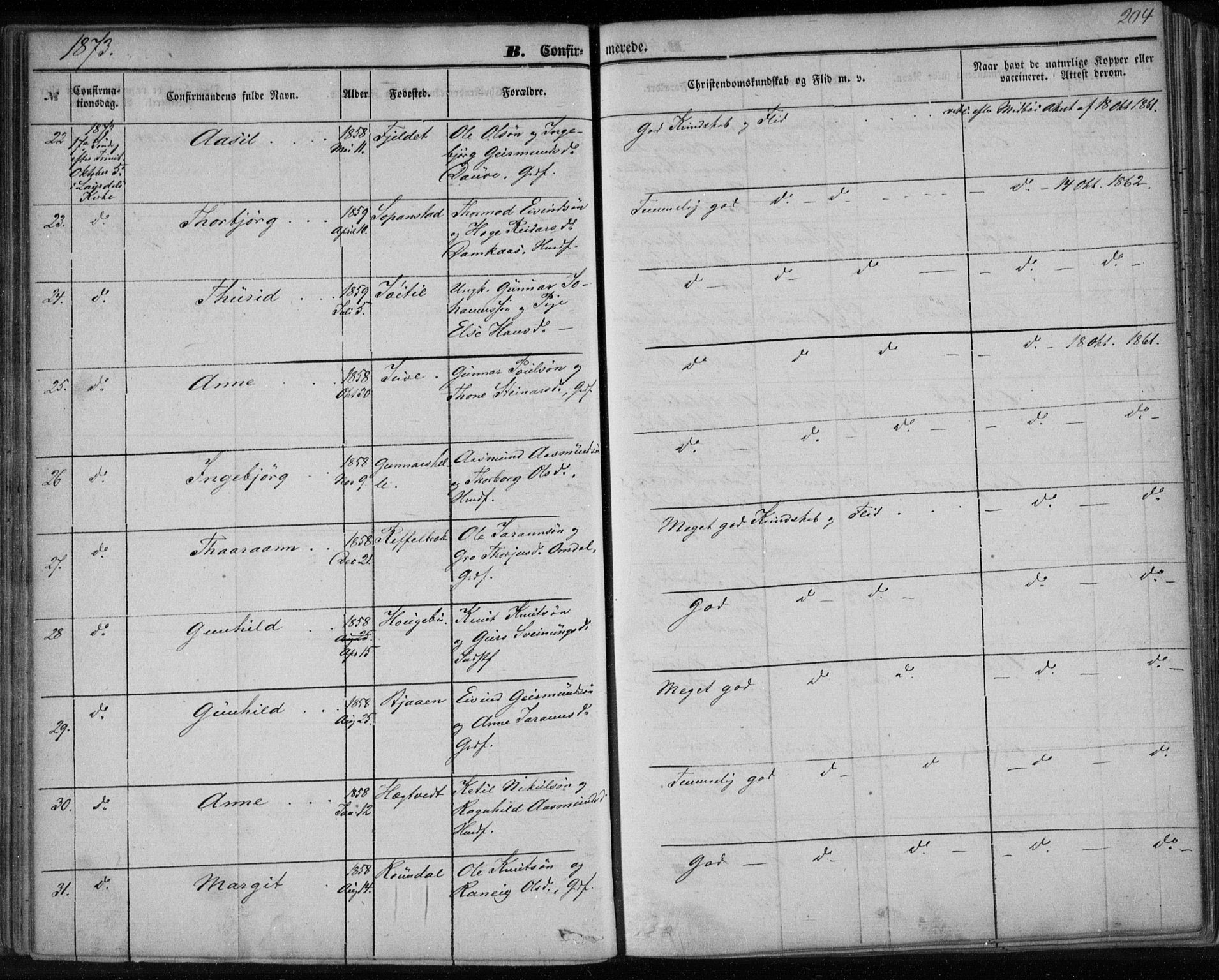 Lårdal kirkebøker, SAKO/A-284/F/Fa/L0006: Parish register (official) no. I 6, 1861-1886, p. 204