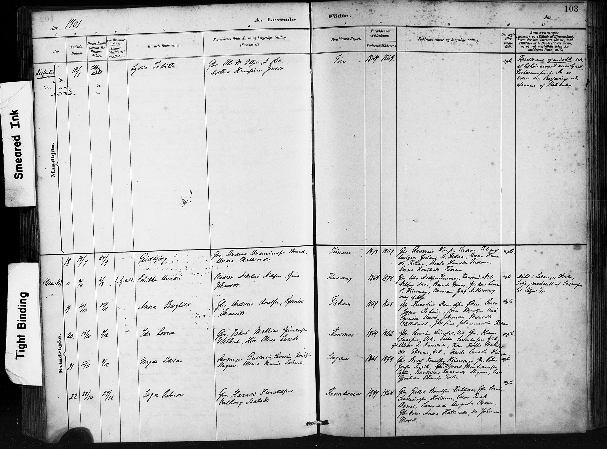 Ministerialprotokoller, klokkerbøker og fødselsregistre - Møre og Romsdal, AV/SAT-A-1454/501/L0008: Parish register (official) no. 501A08, 1885-1901, p. 103