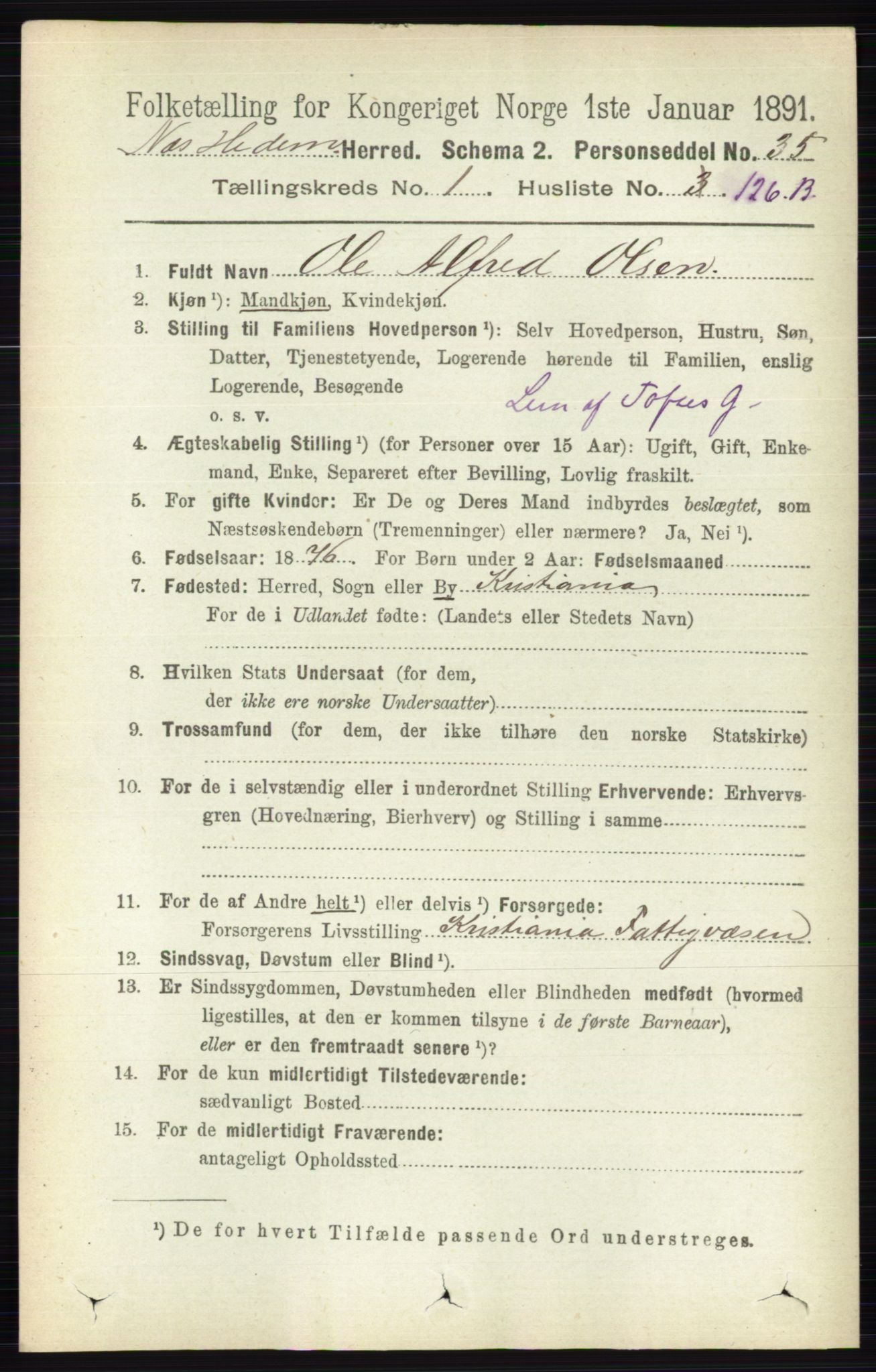 RA, 1891 census for 0411 Nes, 1891, p. 942