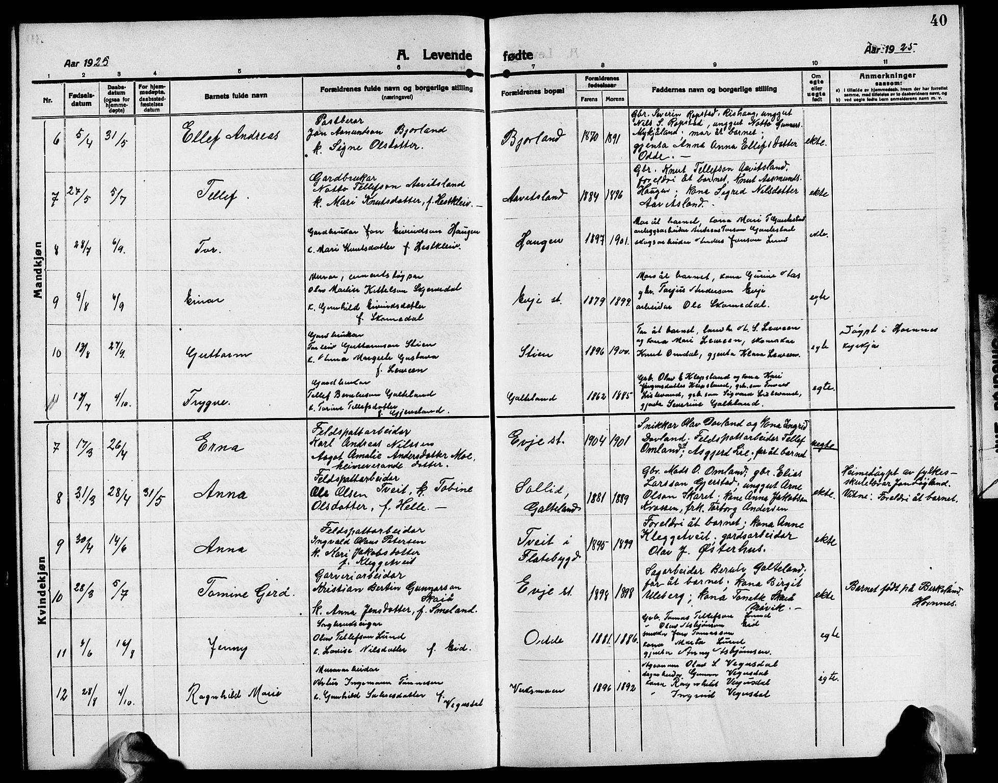 Evje sokneprestkontor, SAK/1111-0008/F/Fb/Fba/L0005: Parish register (copy) no. B 5, 1914-1926, p. 40