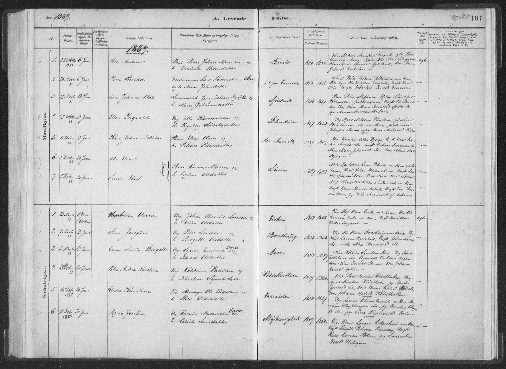 Ministerialprotokoller, klokkerbøker og fødselsregistre - Møre og Romsdal, SAT/A-1454/528/L0401: Parish register (official) no. 528A12I, 1880-1920, p. 167