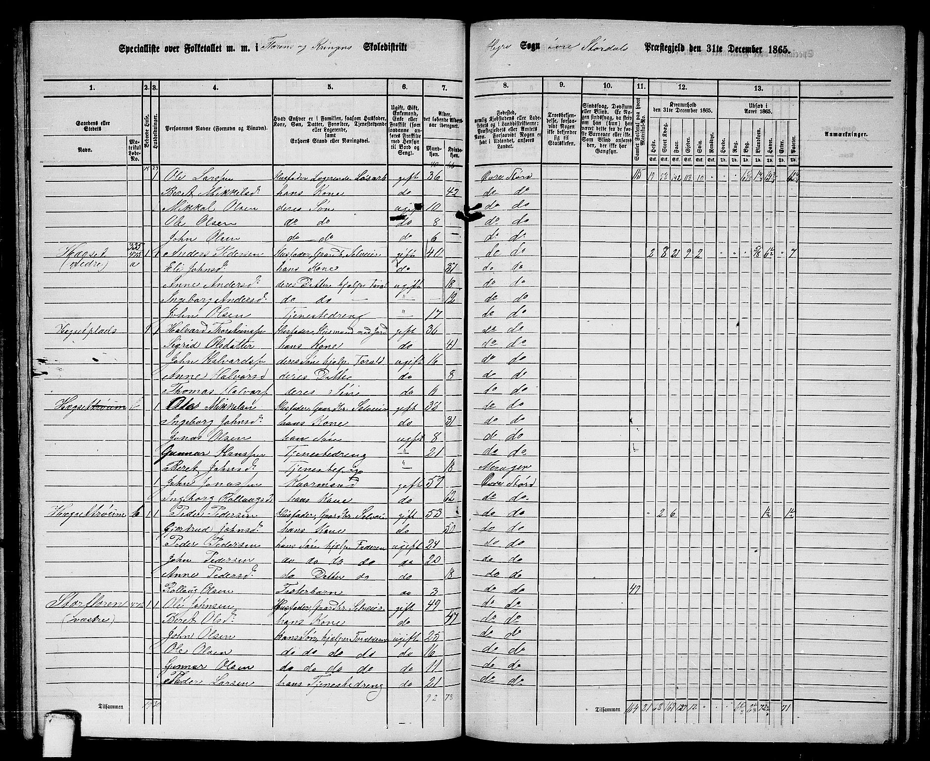 RA, 1865 census for Øvre Stjørdal, 1865, p. 129