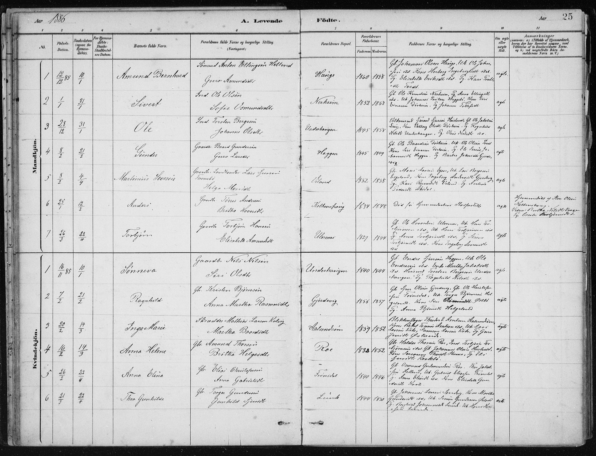 Fjelberg sokneprestembete, AV/SAB-A-75201/H/Haa: Parish register (official) no. D 1, 1879-1918, p. 25