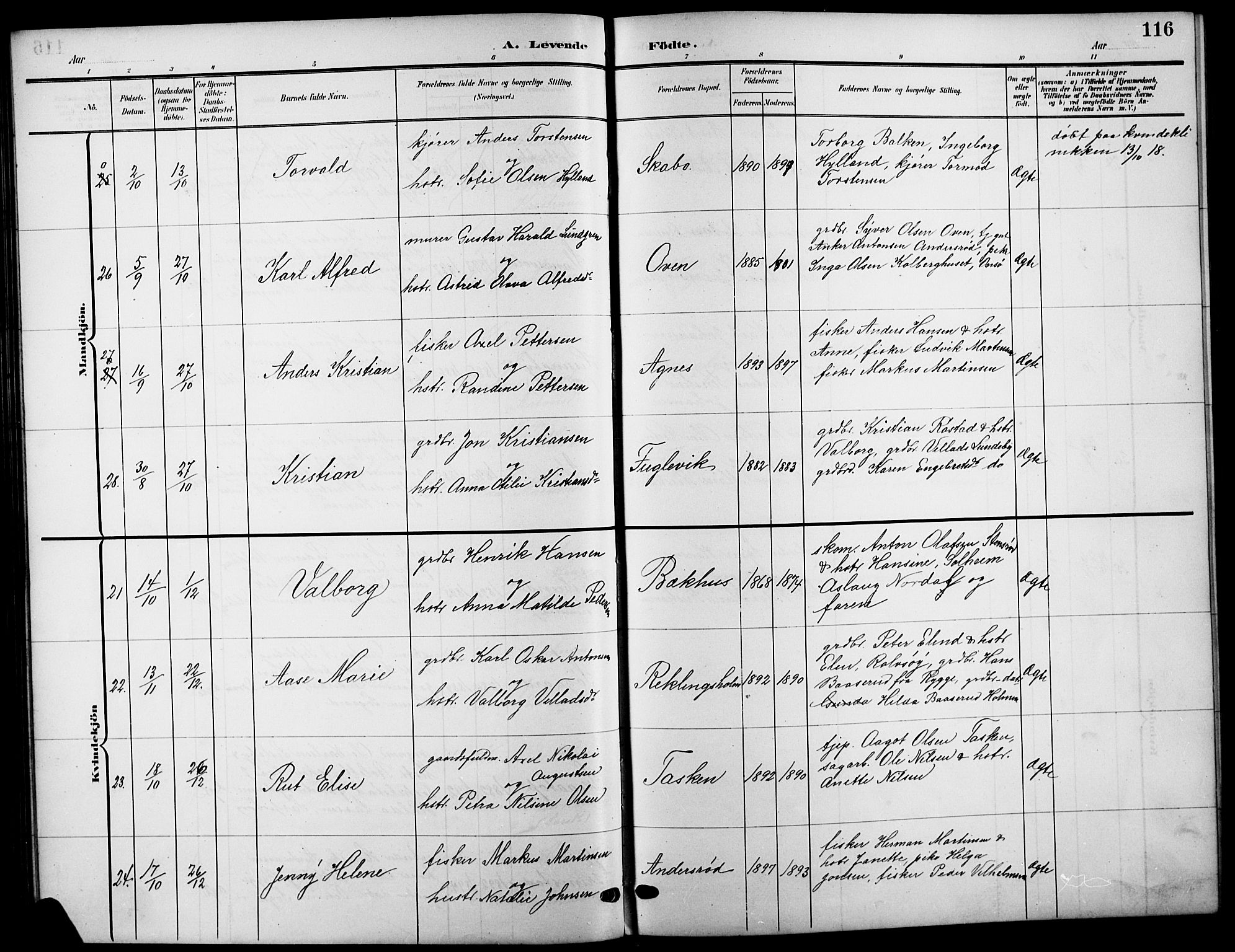 Råde prestekontor kirkebøker, SAO/A-2009/G/Ga/L0001: Parish register (copy) no. 1, 1903-1925, p. 116