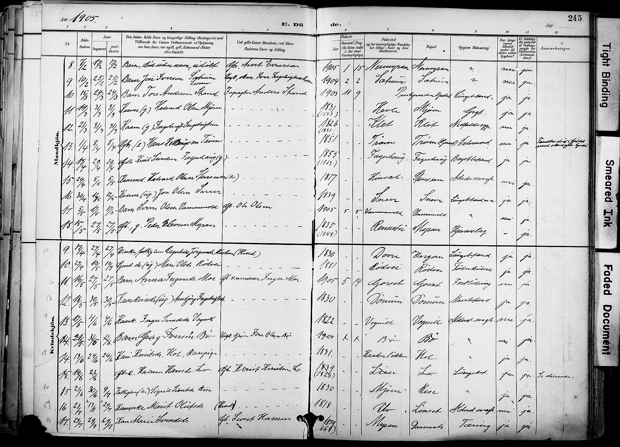 Ministerialprotokoller, klokkerbøker og fødselsregistre - Sør-Trøndelag, SAT/A-1456/678/L0902: Parish register (official) no. 678A11, 1895-1911, p. 245