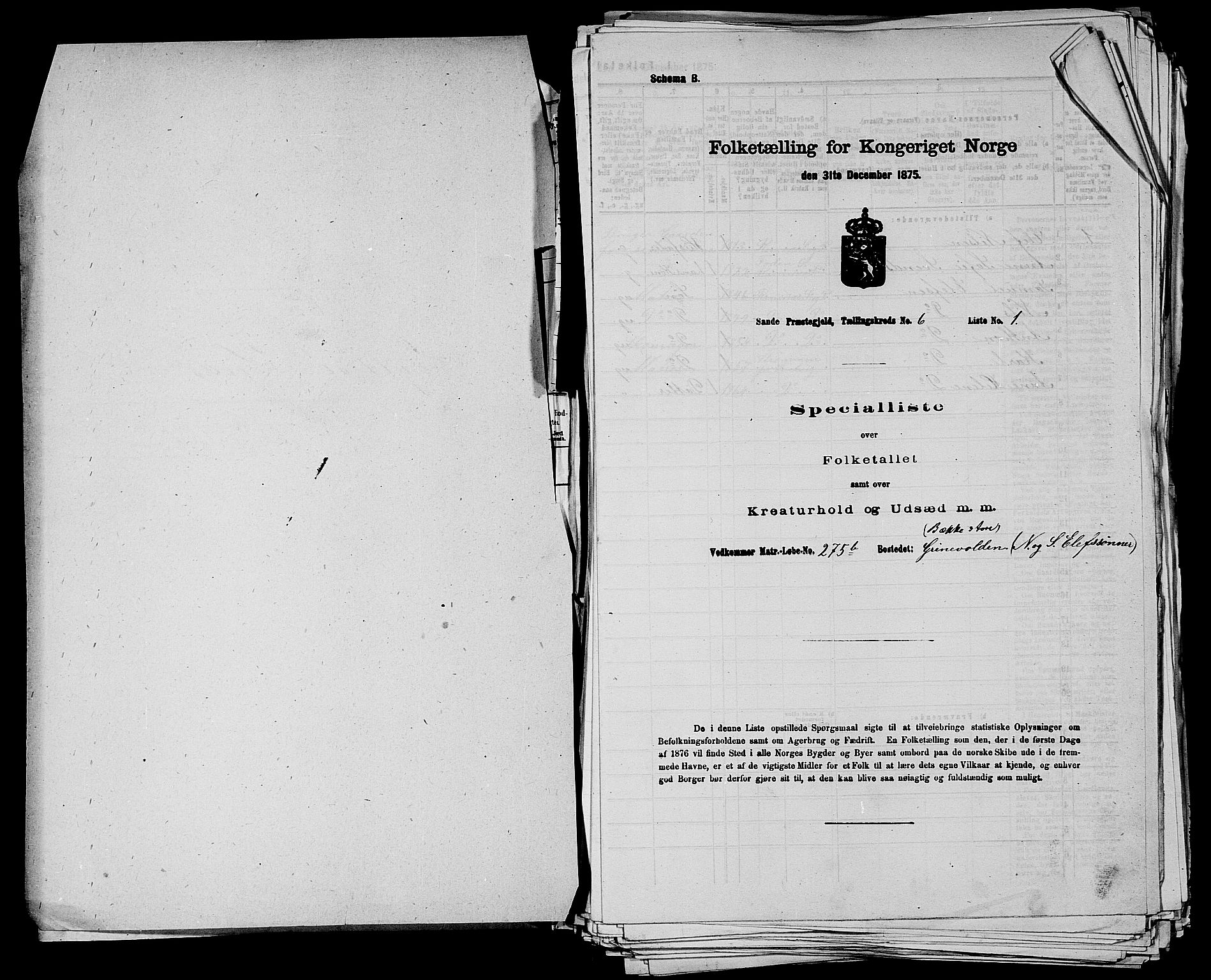 SAKO, 1875 census for 0713P Sande, 1875, p. 1155