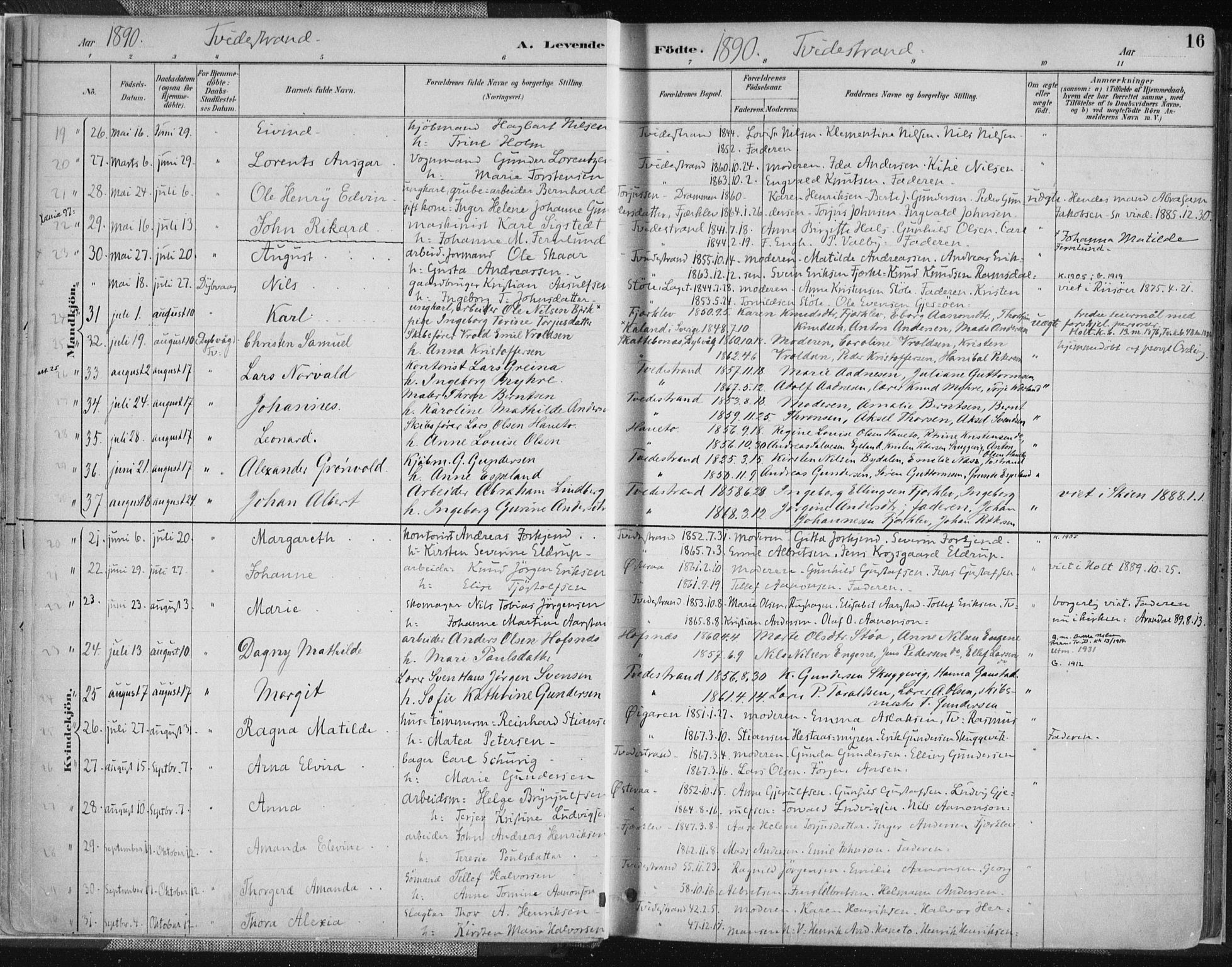 Tvedestrand sokneprestkontor, AV/SAK-1111-0042/F/Fa/L0001: Parish register (official) no. A 1, 1885-1916, p. 16