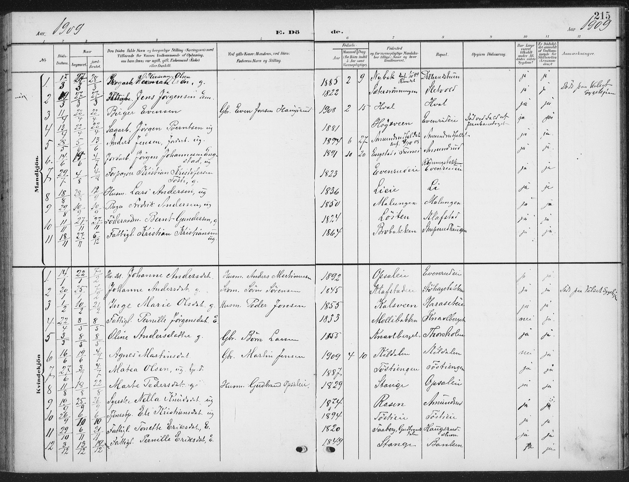 Romedal prestekontor, AV/SAH-PREST-004/K/L0009: Parish register (official) no. 9, 1906-1929, p. 215