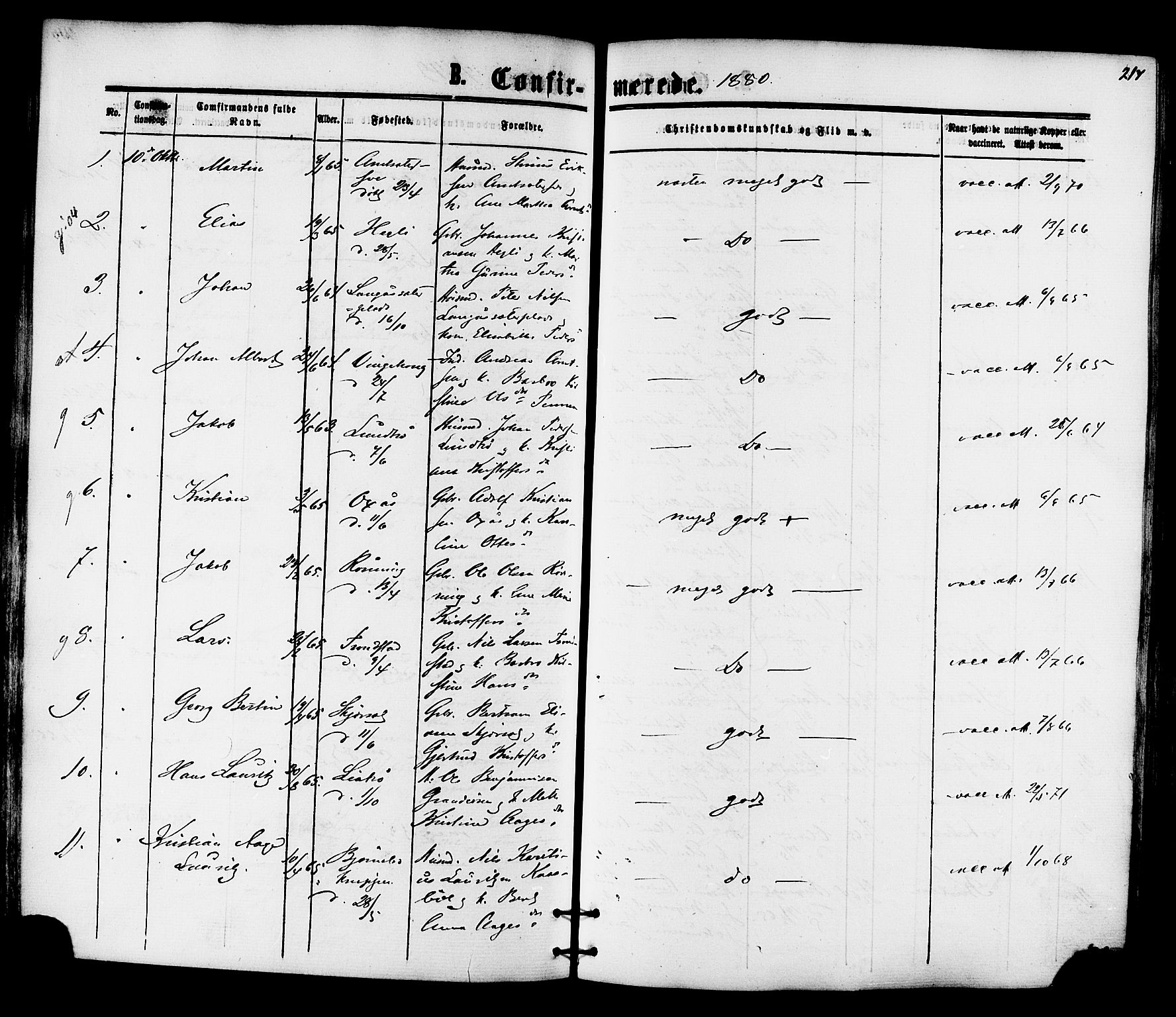 Ministerialprotokoller, klokkerbøker og fødselsregistre - Nord-Trøndelag, SAT/A-1458/701/L0009: Parish register (official) no. 701A09 /1, 1864-1882, p. 217