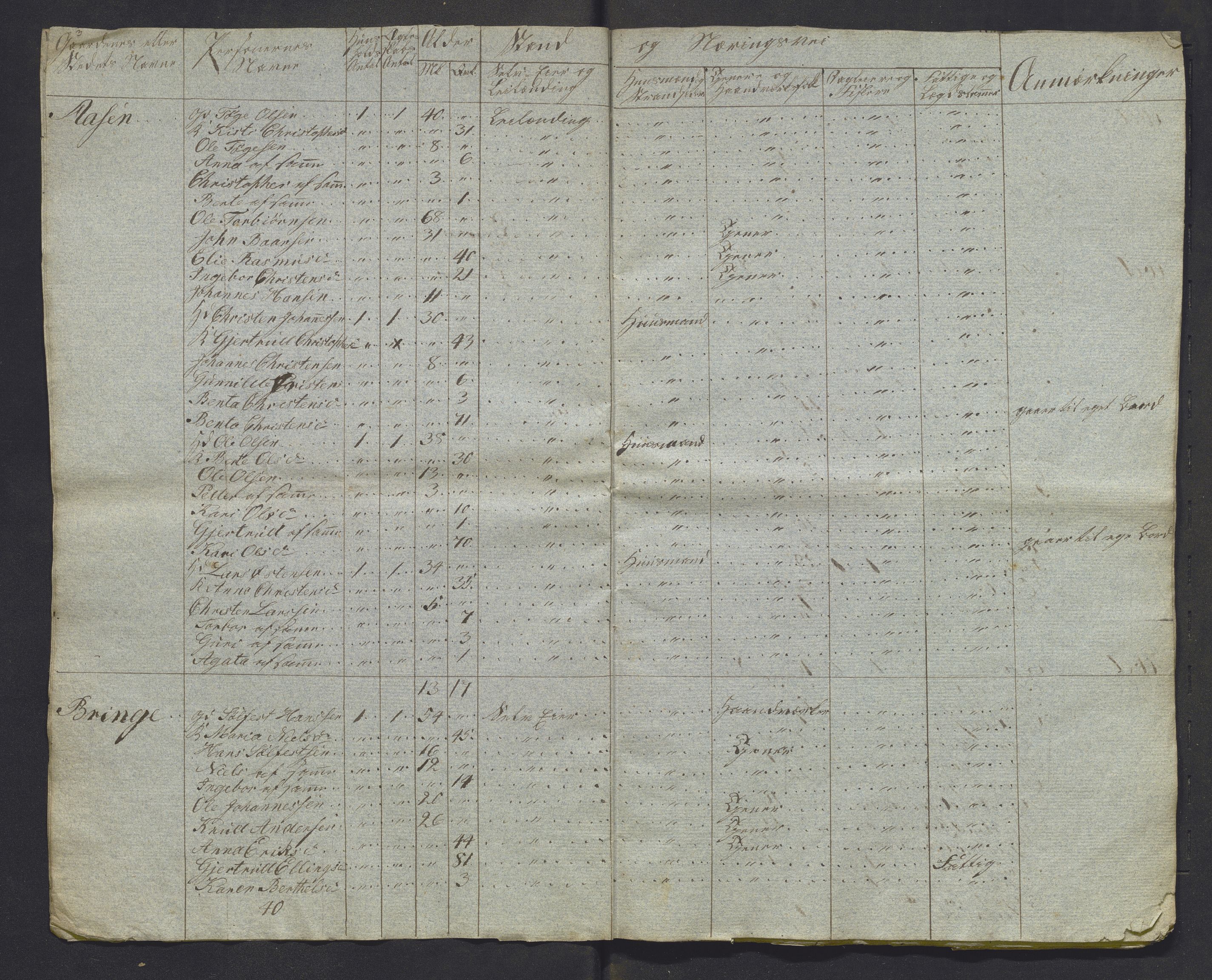 , 1825 Census for Luster parish, 1825, p. 33