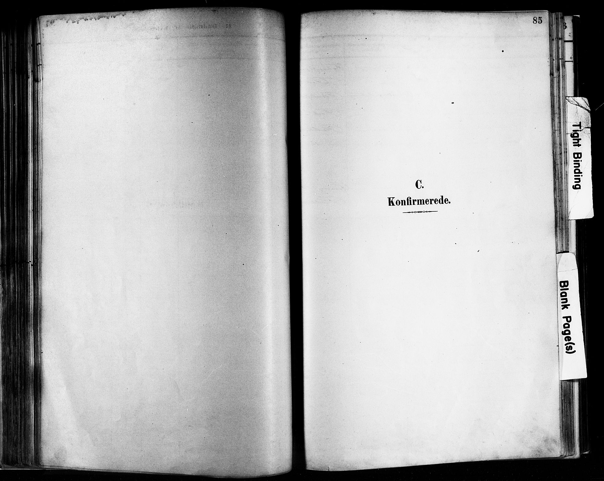 Flekkefjord sokneprestkontor, SAK/1111-0012/F/Fa/Faa/L0001: Parish register (official) no. A 1, 1885-1900, p. 85