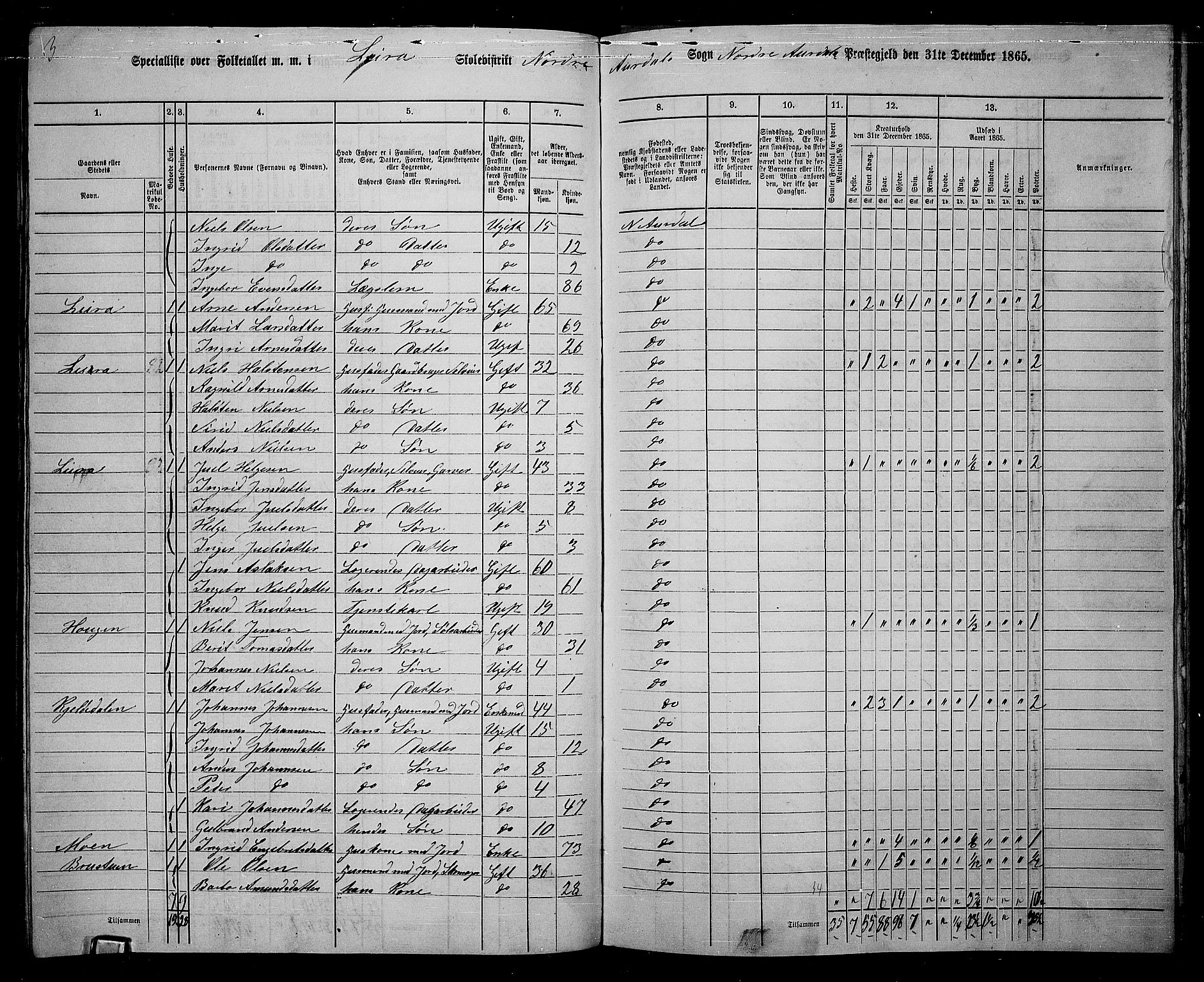 RA, 1865 census for Nord-Aurdal, 1865, p. 158