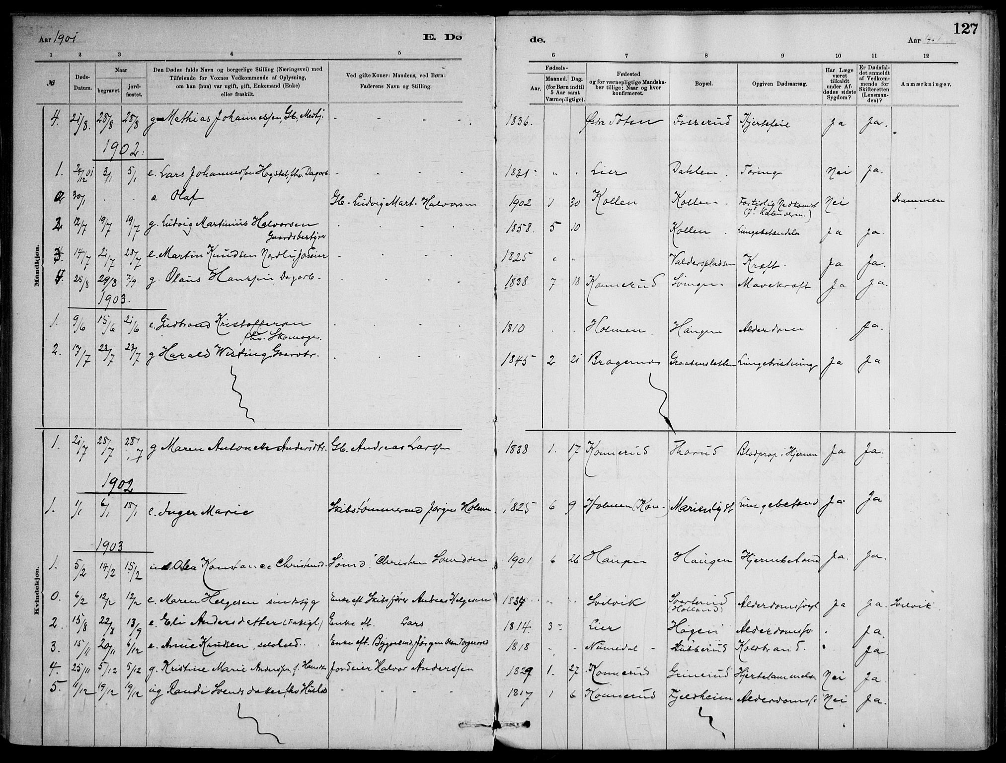 Skoger kirkebøker, AV/SAKO-A-59/F/Fb/L0001: Parish register (official) no. II 1, 1885-1913, p. 127