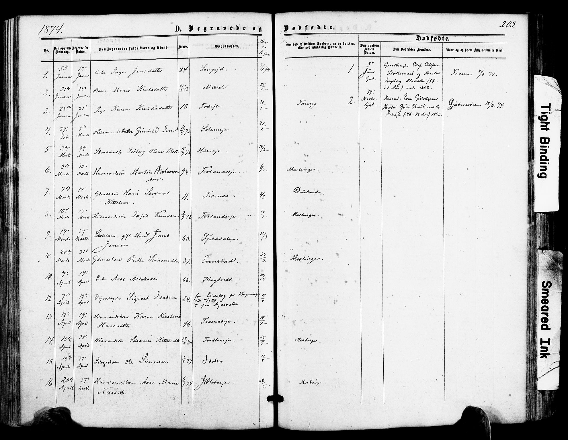 Froland sokneprestkontor, AV/SAK-1111-0013/F/Fa/L0003: Parish register (official) no. A 3, 1864-1881, p. 203