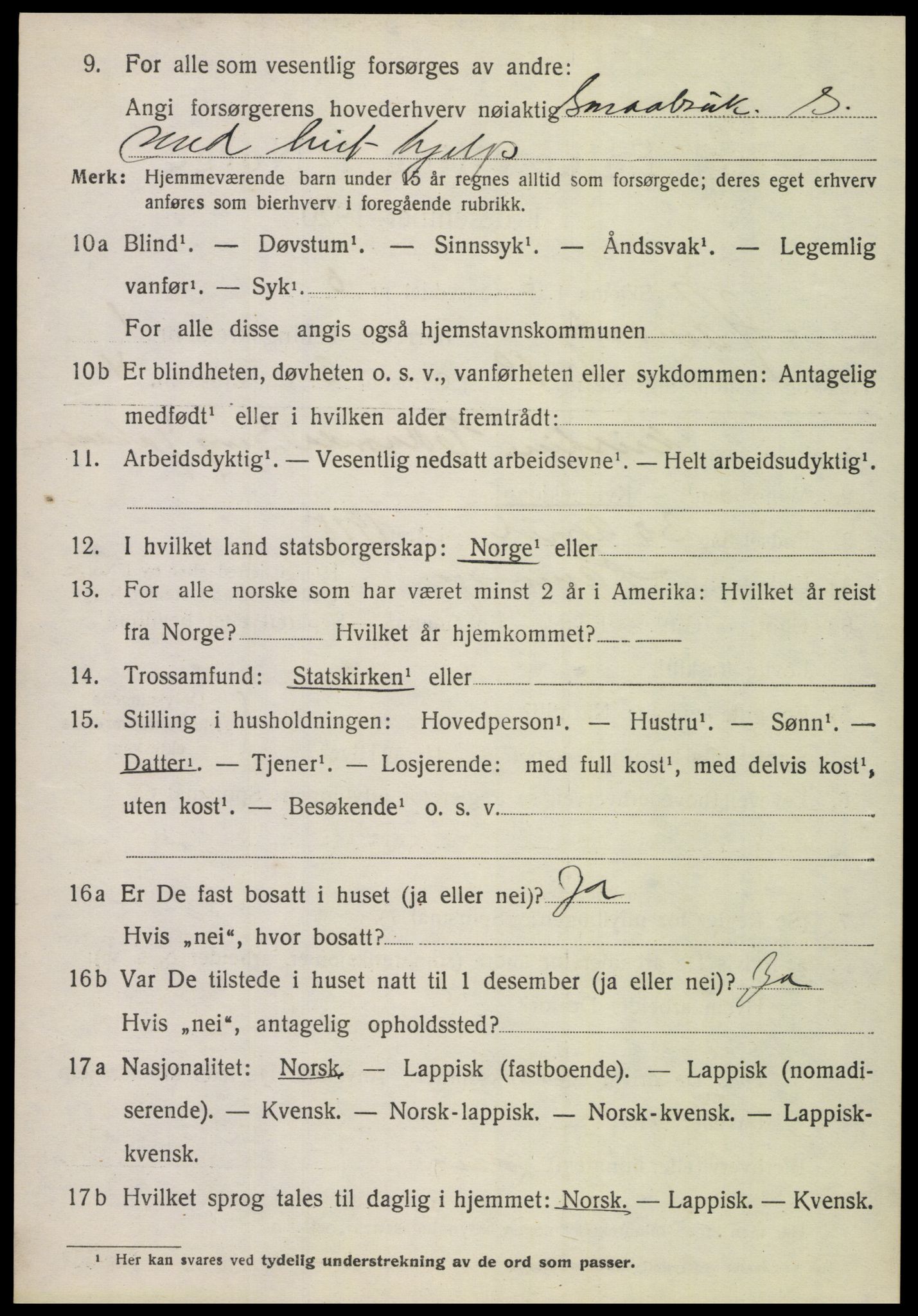 SAT, 1920 census for Hamarøy, 1920, p. 1425