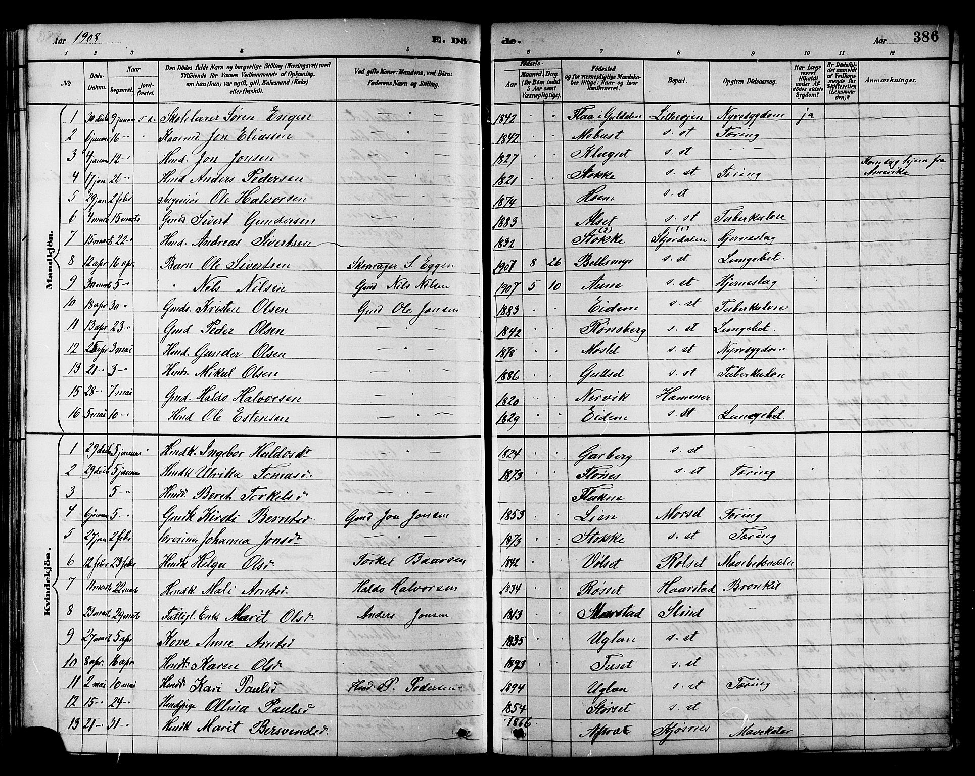 Ministerialprotokoller, klokkerbøker og fødselsregistre - Sør-Trøndelag, AV/SAT-A-1456/695/L1157: Parish register (copy) no. 695C08, 1889-1913, p. 386