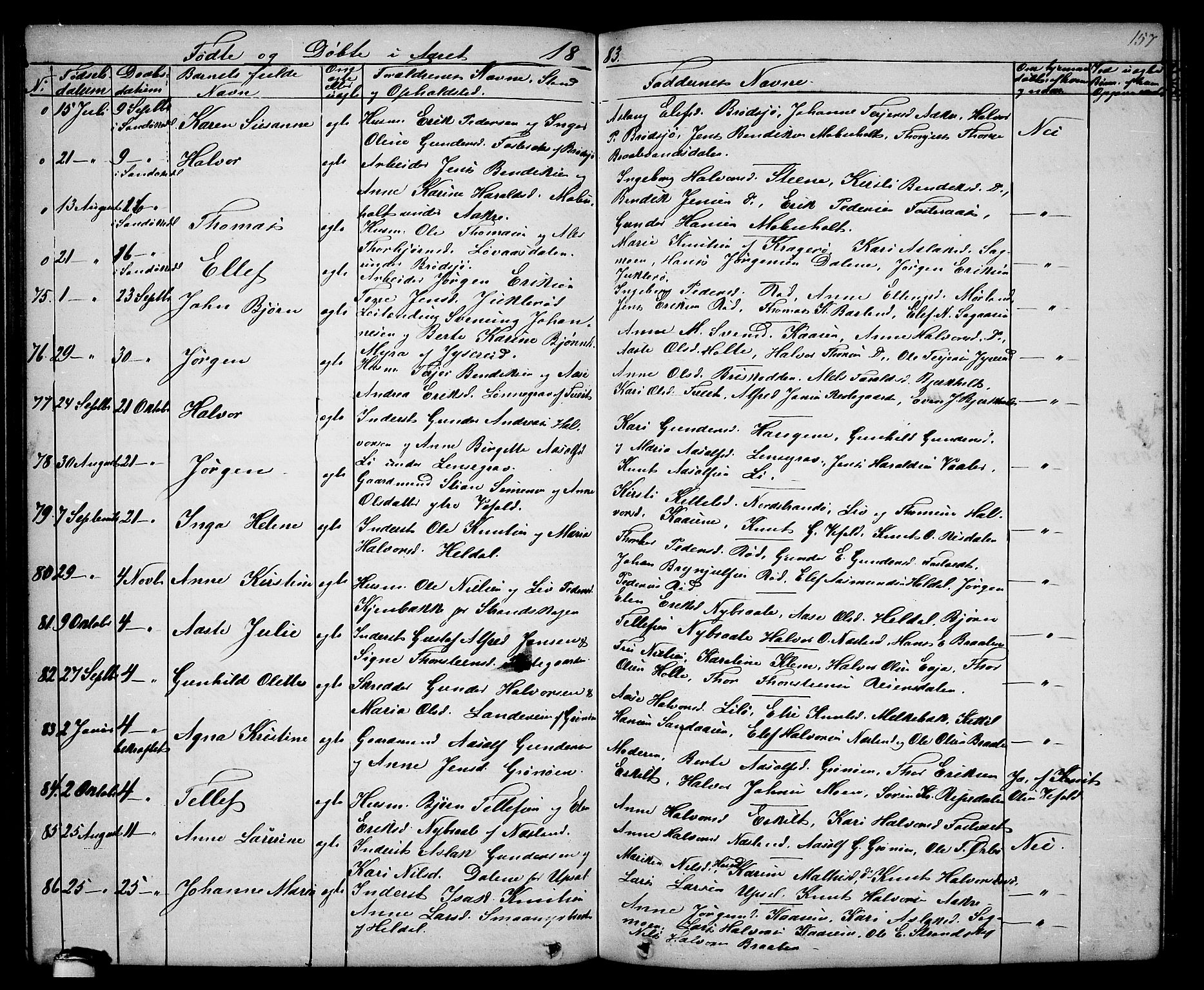 Drangedal kirkebøker, SAKO/A-258/G/Ga/L0002: Parish register (copy) no. I 2, 1856-1887, p. 157