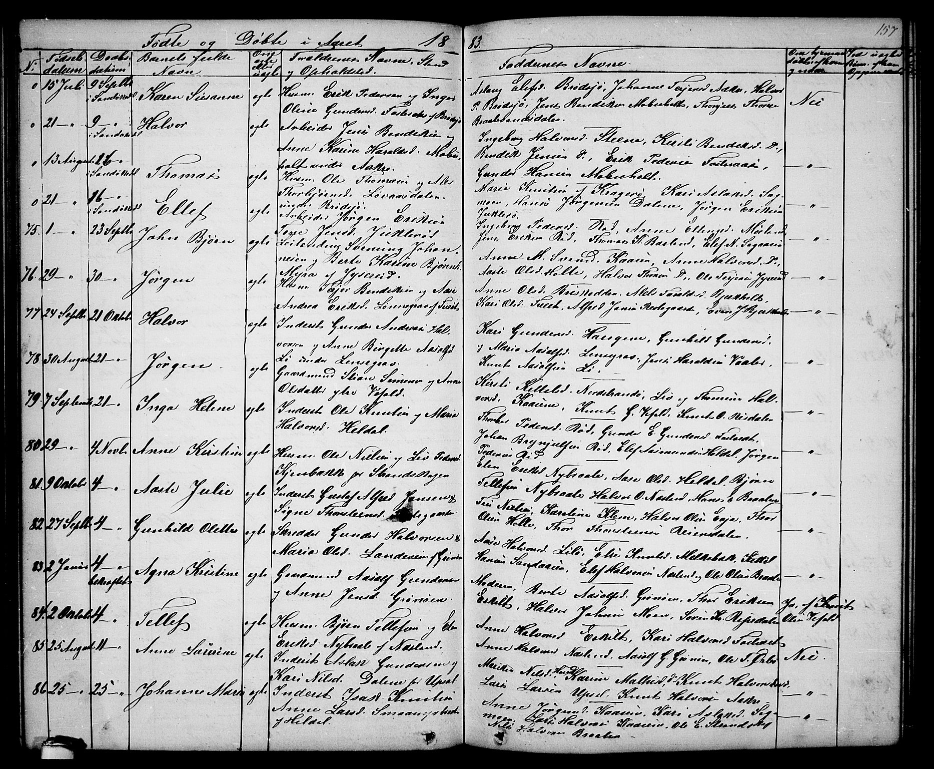 Drangedal kirkebøker, AV/SAKO-A-258/G/Ga/L0002: Parish register (copy) no. I 2, 1856-1887, p. 157