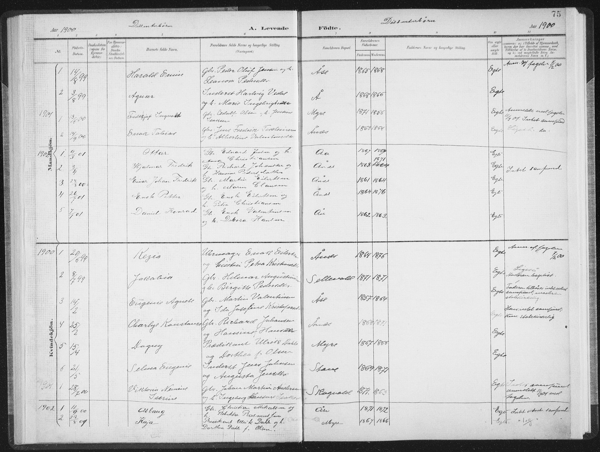Ministerialprotokoller, klokkerbøker og fødselsregistre - Nordland, SAT/A-1459/897/L1400: Parish register (official) no. 897A07, 1897-1908, p. 75