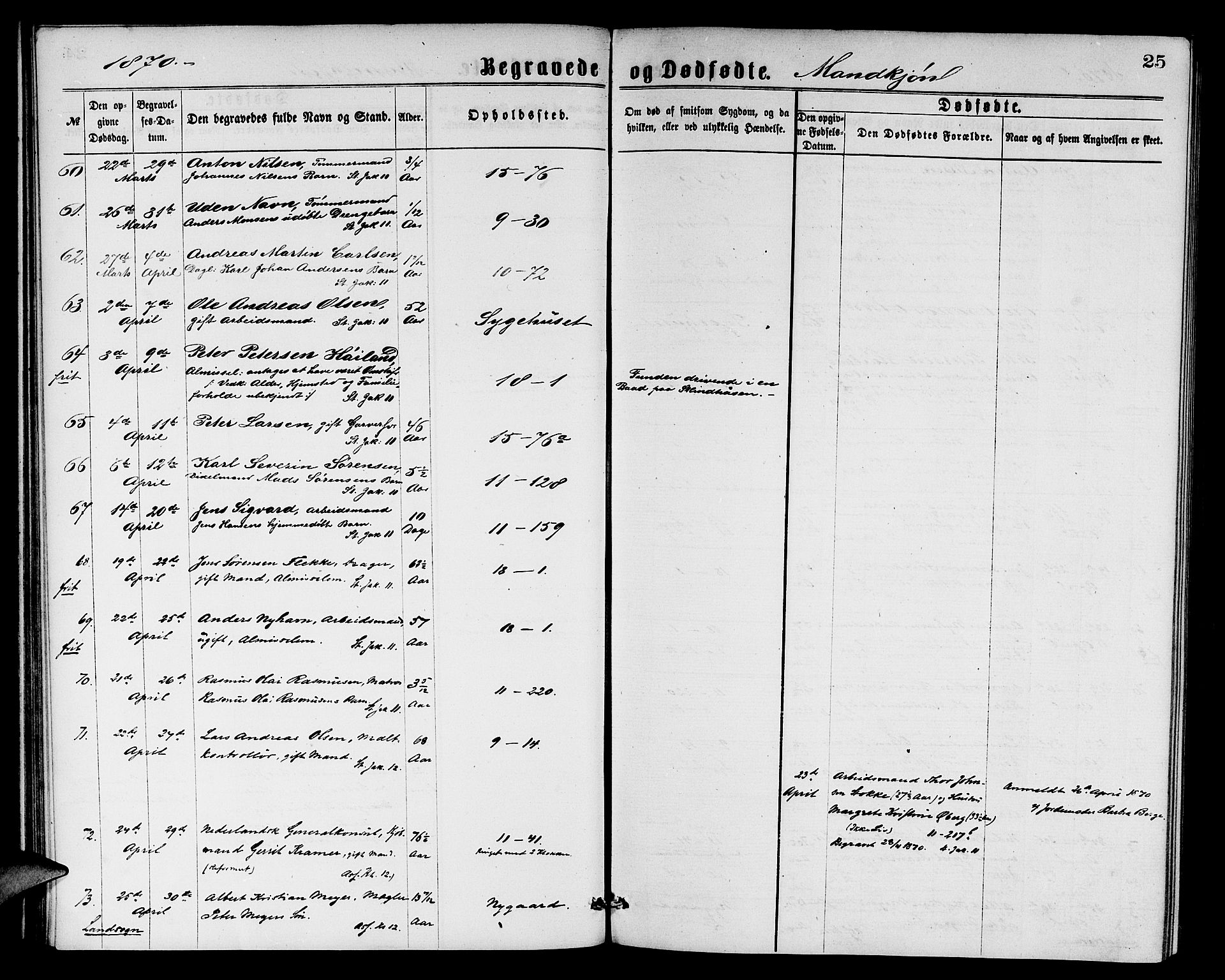 Domkirken sokneprestembete, AV/SAB-A-74801/H/Hab/L0040: Parish register (copy) no. E 4, 1868-1877, p. 25