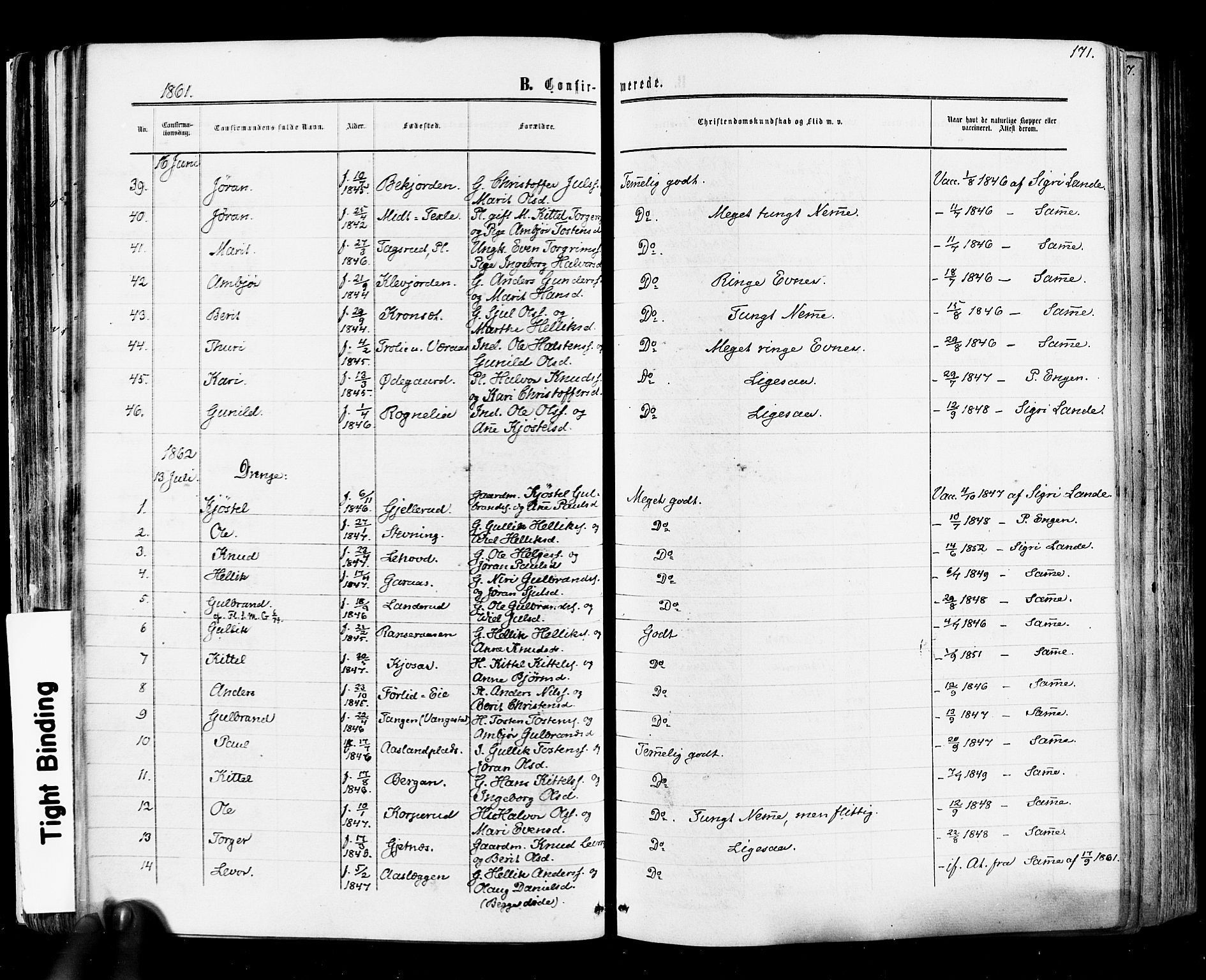 Flesberg kirkebøker, SAKO/A-18/F/Fa/L0007: Parish register (official) no. I 7, 1861-1878, p. 171