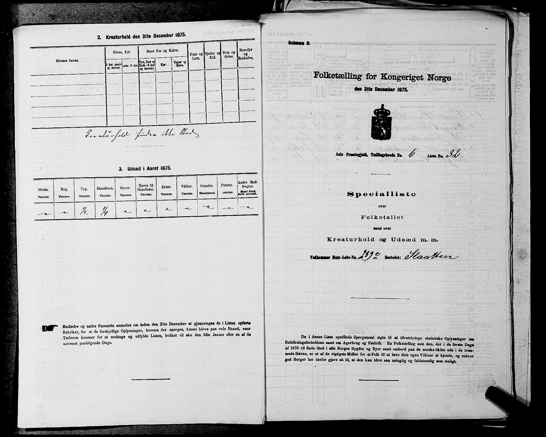 SAKO, 1875 census for 0619P Ål, 1875, p. 804