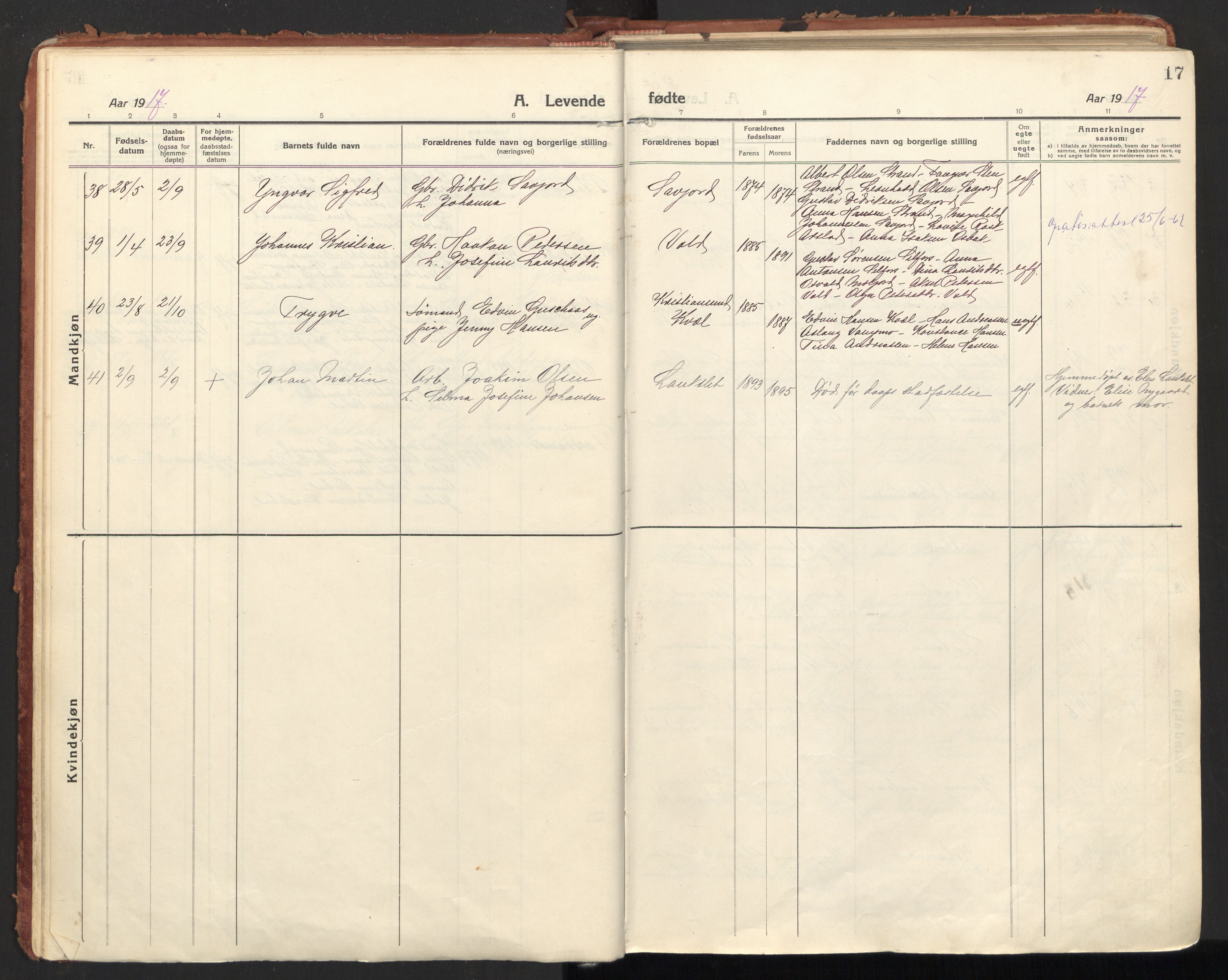 Ministerialprotokoller, klokkerbøker og fødselsregistre - Nordland, SAT/A-1459/846/L0650: Parish register (official) no. 846A08, 1916-1935, p. 17