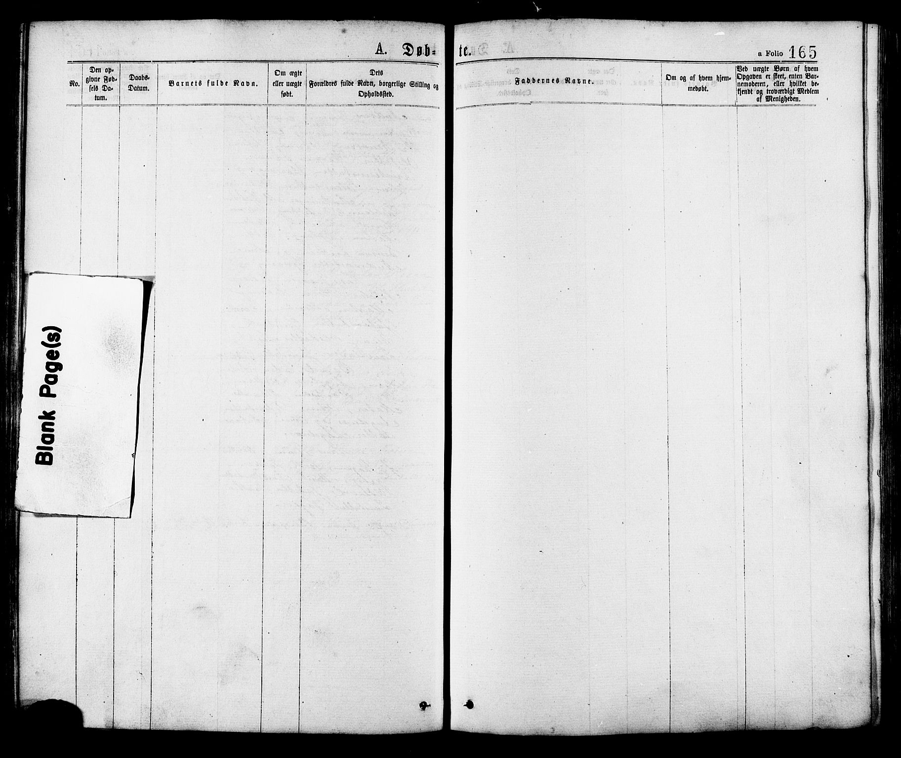 Ministerialprotokoller, klokkerbøker og fødselsregistre - Sør-Trøndelag, SAT/A-1456/634/L0532: Parish register (official) no. 634A08, 1871-1881, p. 165