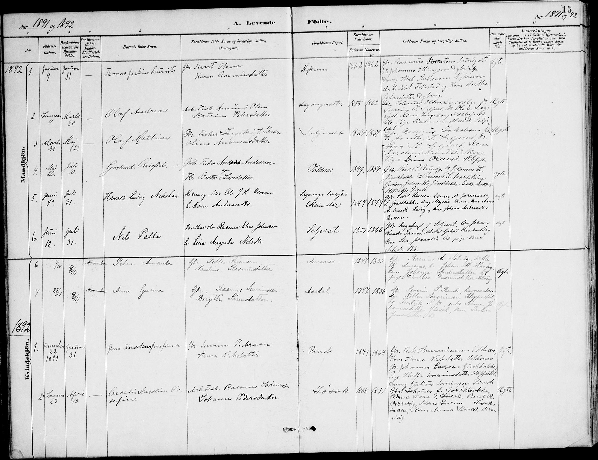 Ministerialprotokoller, klokkerbøker og fødselsregistre - Møre og Romsdal, AV/SAT-A-1454/508/L0095: Parish register (official) no. 508A02, 1887-1920, p. 15