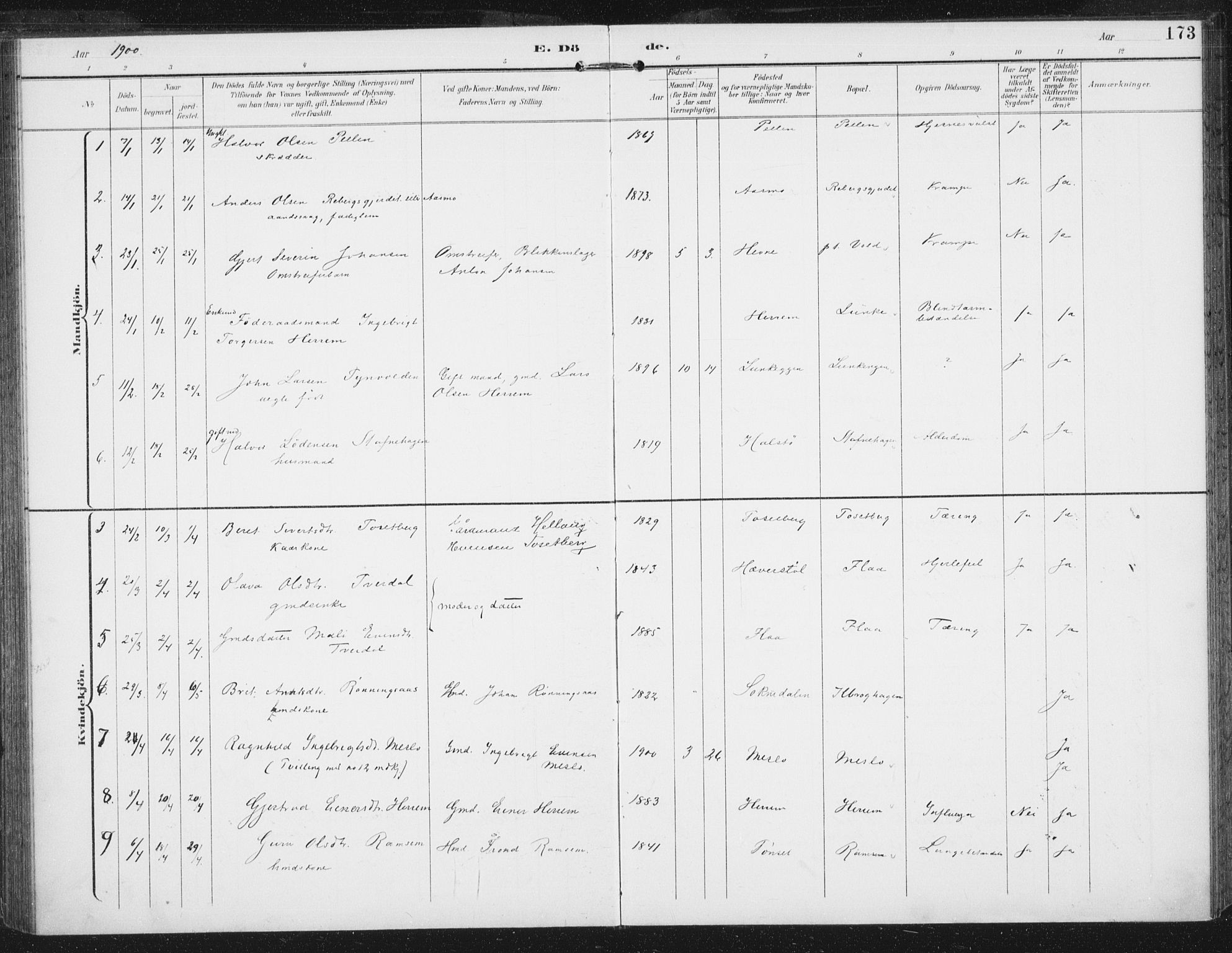 Ministerialprotokoller, klokkerbøker og fødselsregistre - Sør-Trøndelag, SAT/A-1456/674/L0872: Parish register (official) no. 674A04, 1897-1907, p. 173