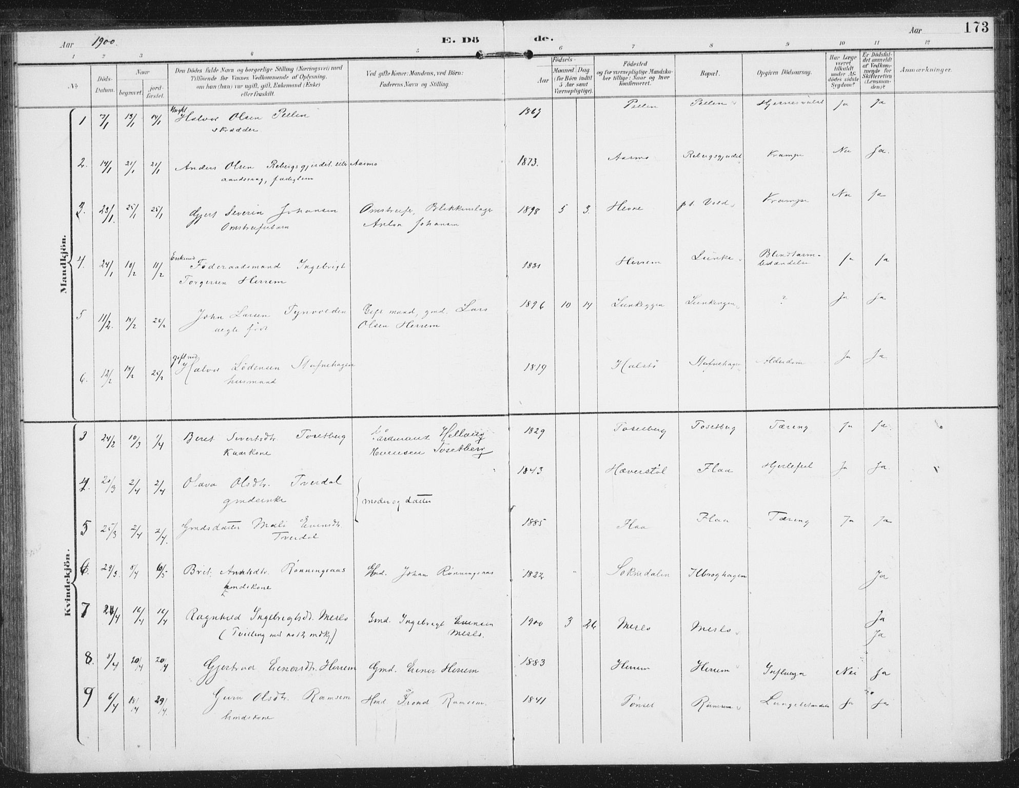 Ministerialprotokoller, klokkerbøker og fødselsregistre - Sør-Trøndelag, AV/SAT-A-1456/674/L0872: Parish register (official) no. 674A04, 1897-1907, p. 173