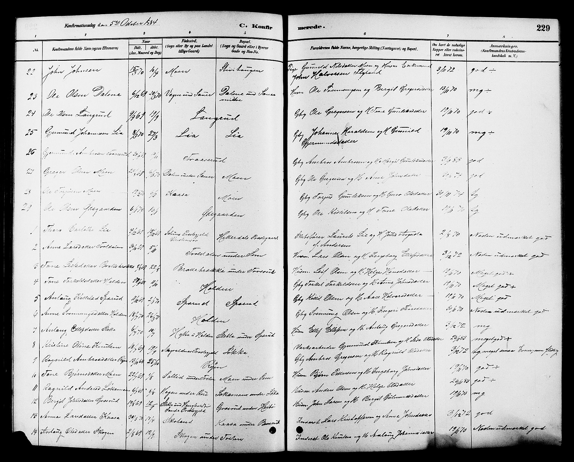 Heddal kirkebøker, SAKO/A-268/G/Ga/L0002: Parish register (copy) no. I 2, 1879-1908, p. 229