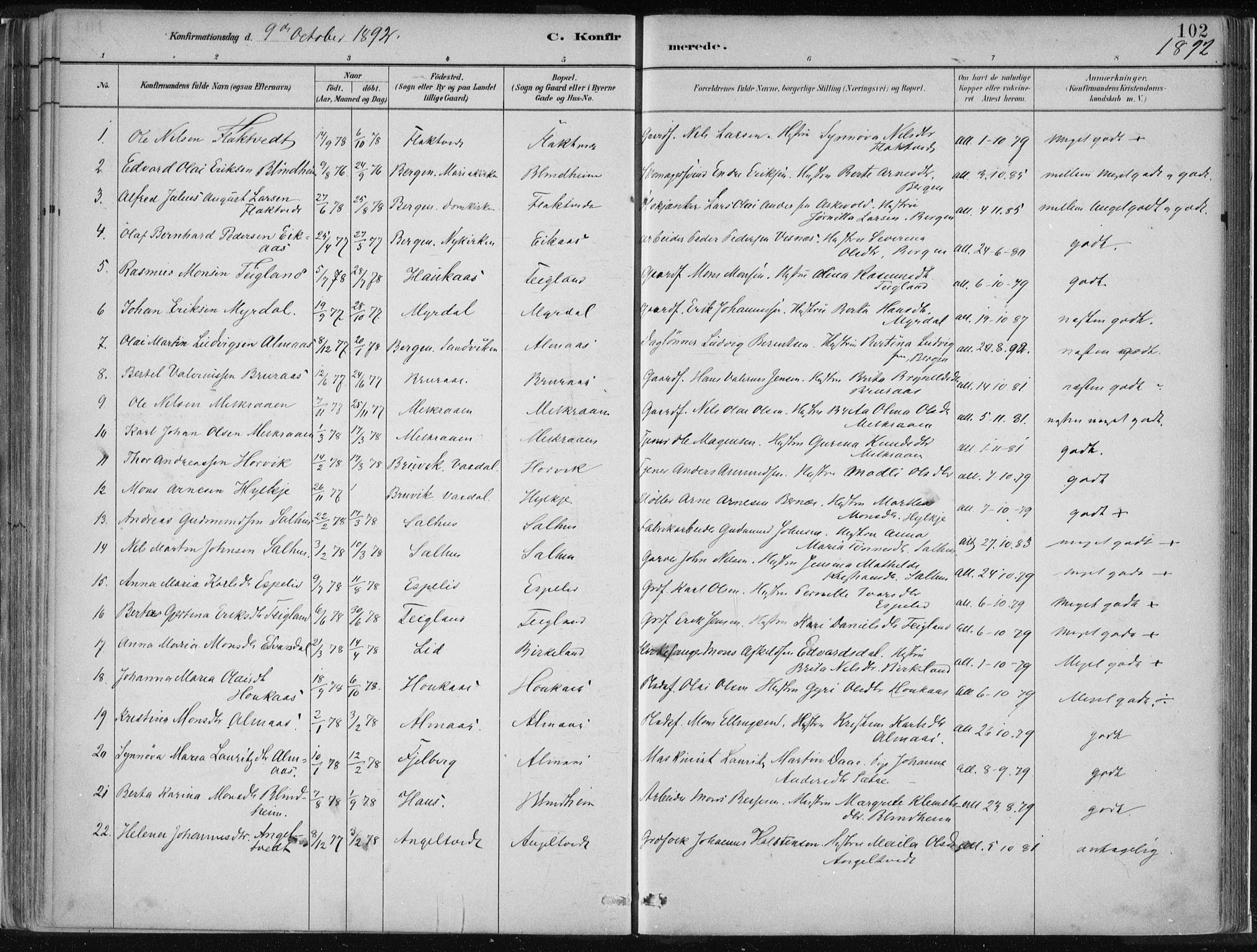 Hamre sokneprestembete, AV/SAB-A-75501/H/Ha/Haa/Haad/L0001: Parish register (official) no. D  1, 1882-1906, p. 102