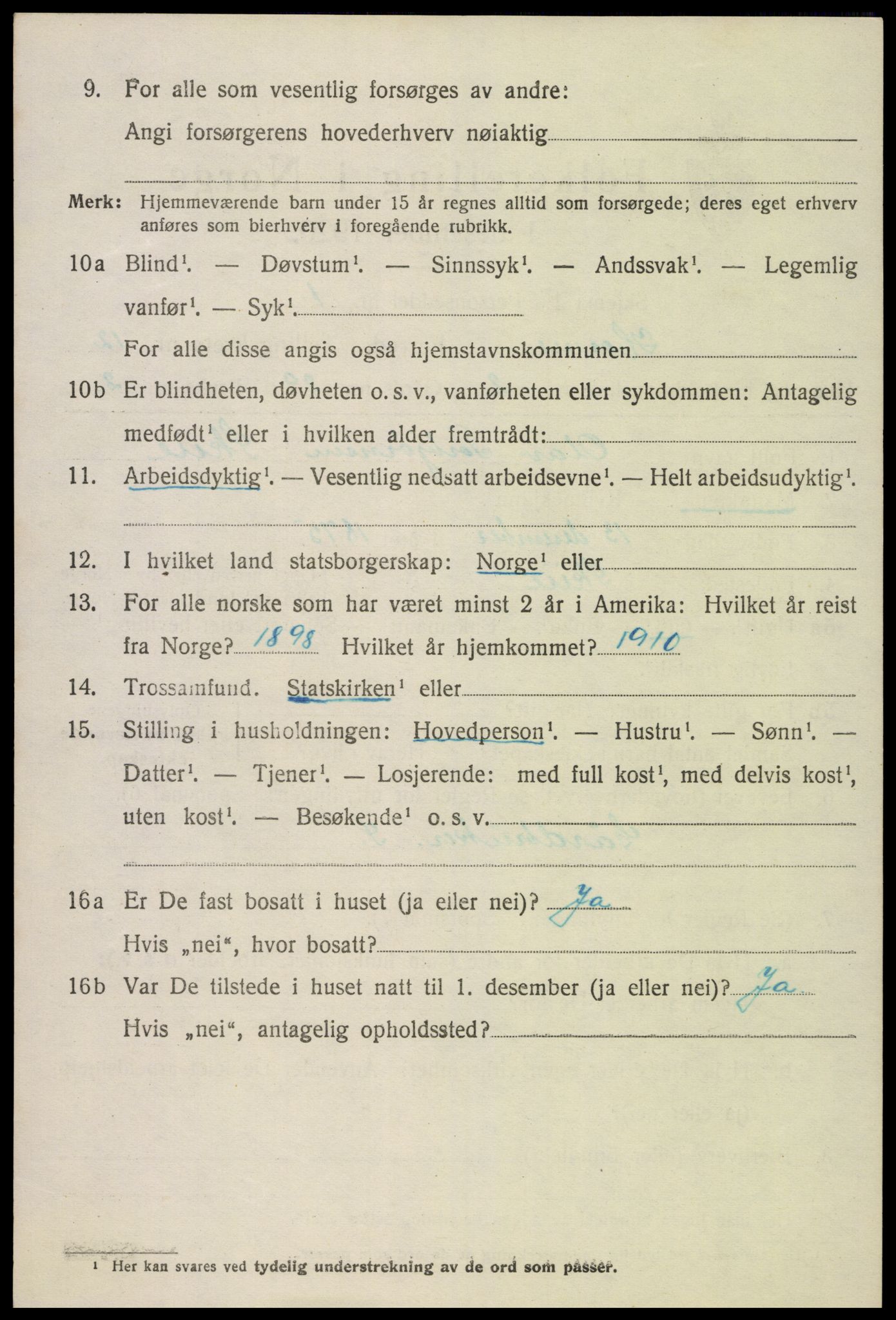 SAK, 1920 census for Hornnes, 1920, p. 2888