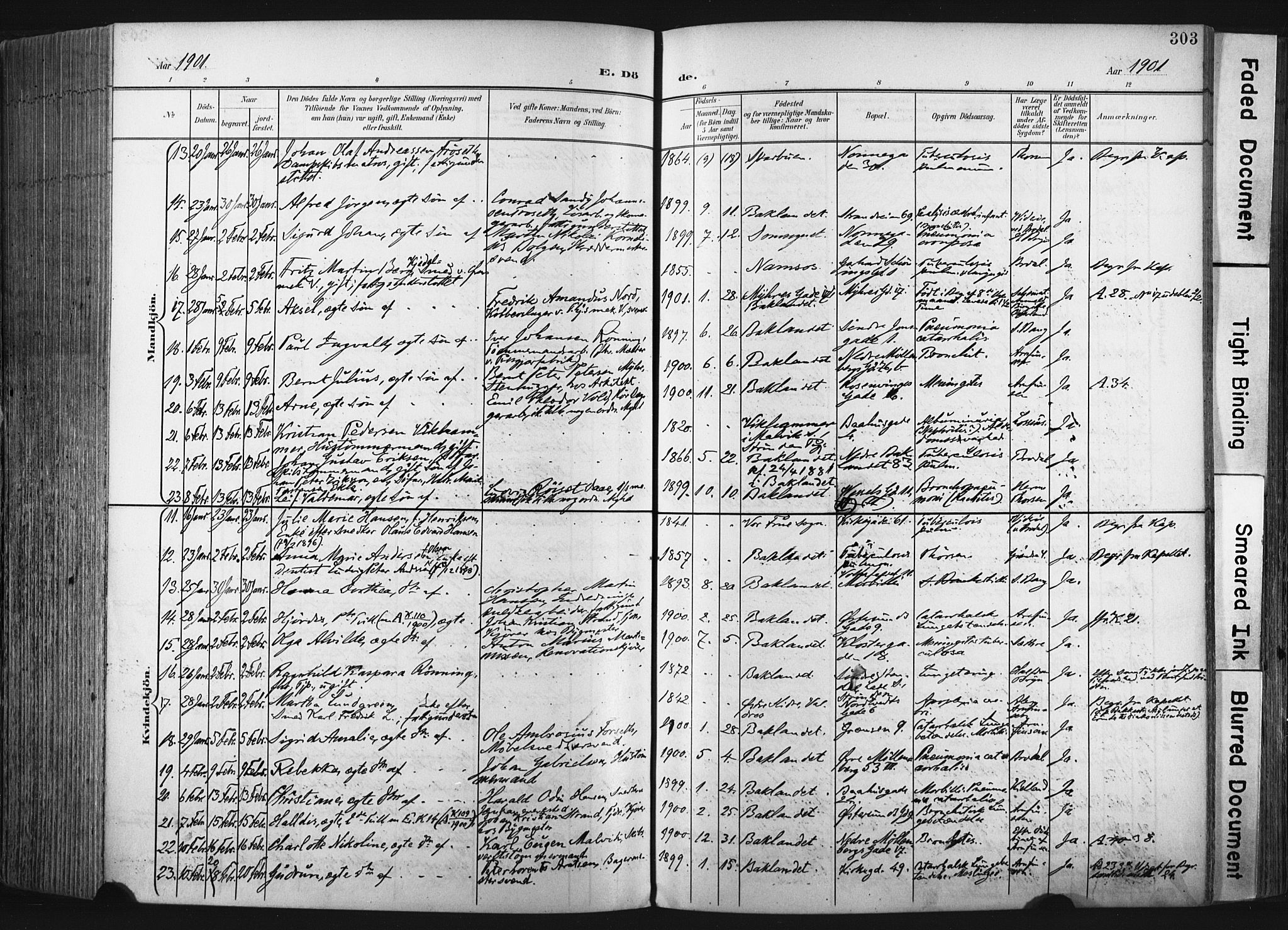 Ministerialprotokoller, klokkerbøker og fødselsregistre - Sør-Trøndelag, AV/SAT-A-1456/604/L0201: Parish register (official) no. 604A21, 1901-1911, p. 303