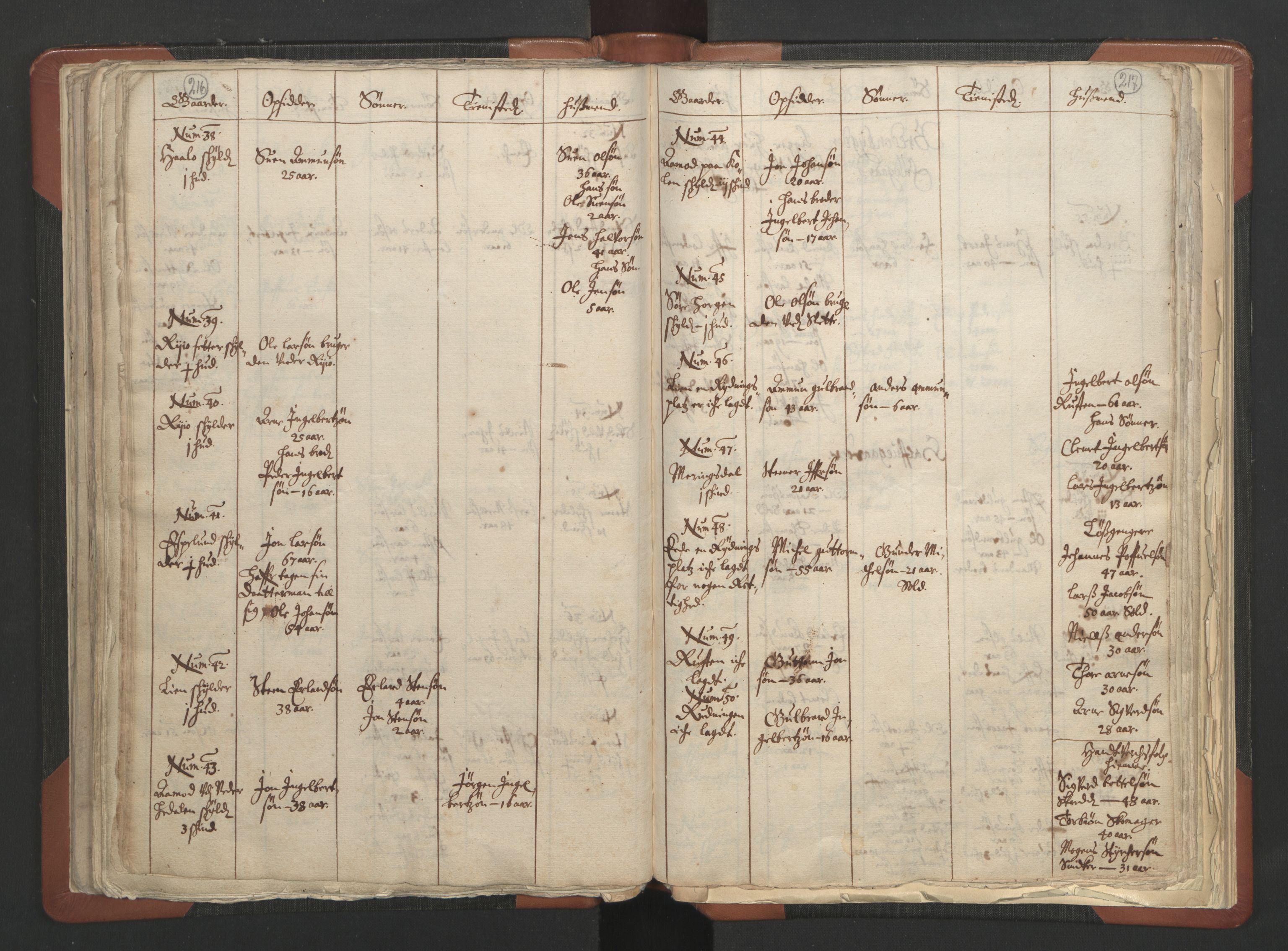 RA, Vicar's Census 1664-1666, no. 6: Gudbrandsdal deanery, 1664-1666, p. 216-217