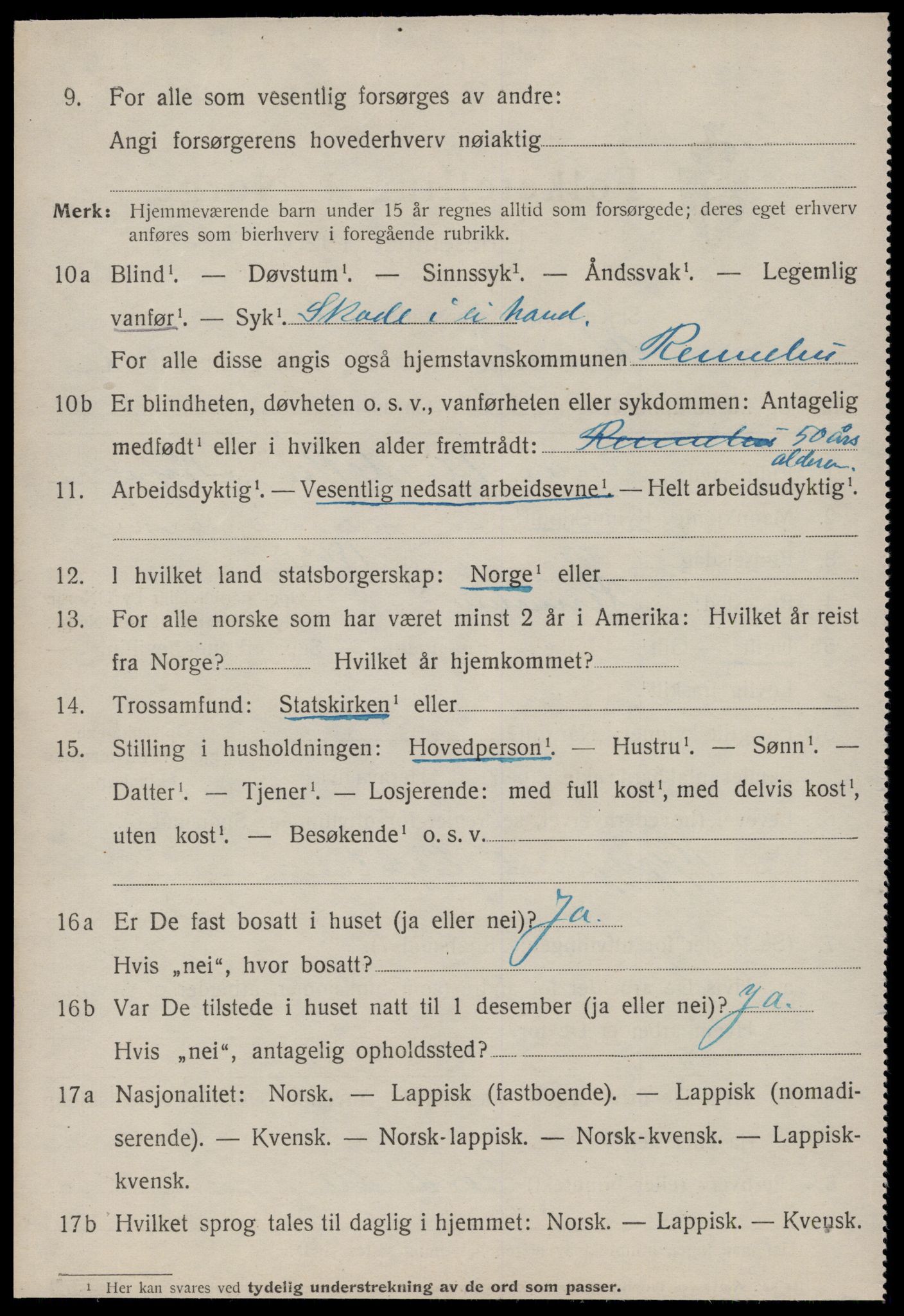 SAT, 1920 census for Rennebu, 1920, p. 1917