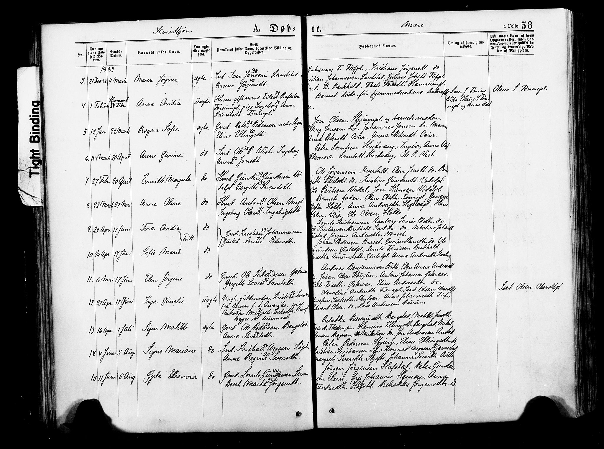 Ministerialprotokoller, klokkerbøker og fødselsregistre - Nord-Trøndelag, AV/SAT-A-1458/735/L0348: Parish register (official) no. 735A09 /1, 1873-1883, p. 58