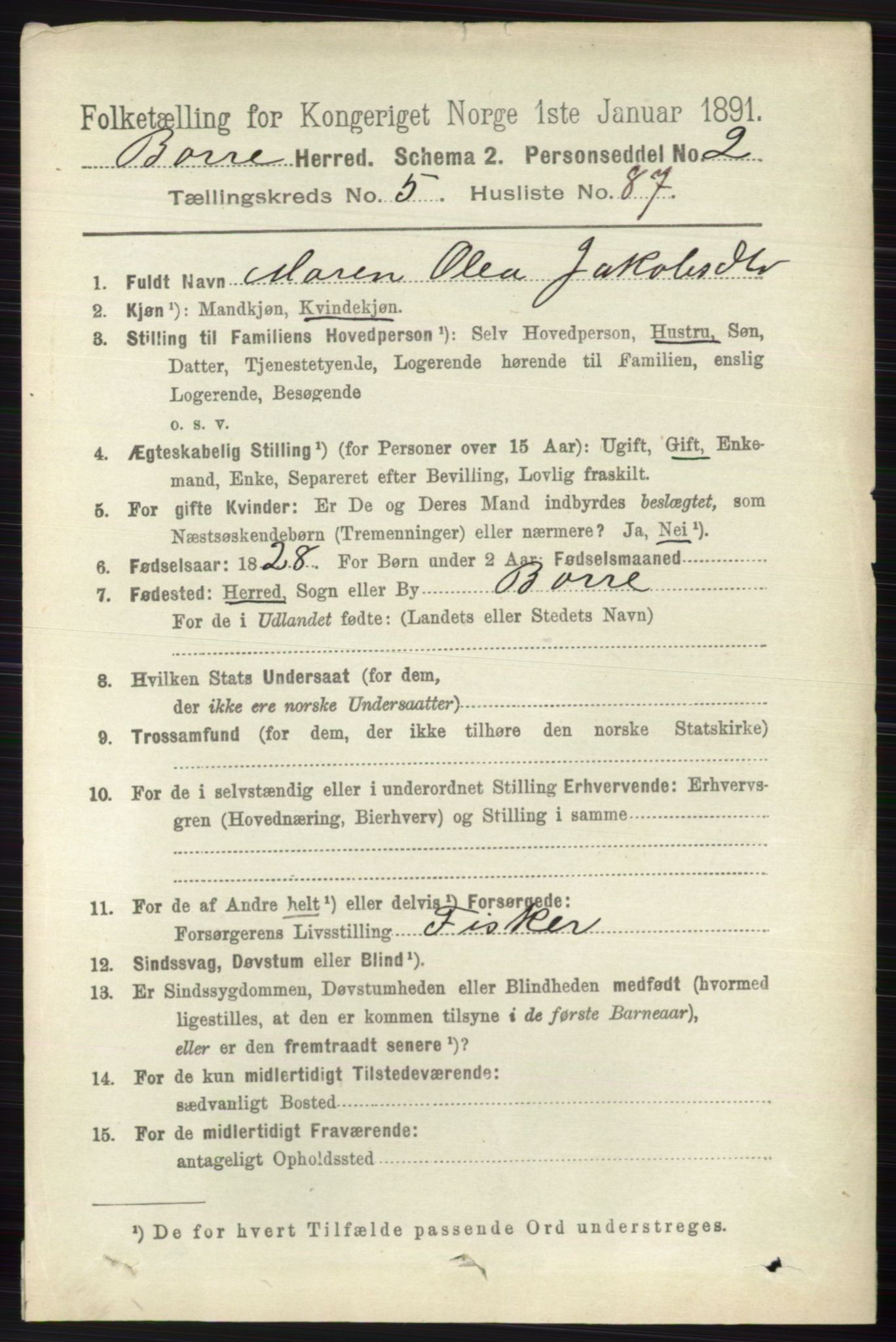 RA, 1891 census for 0717 Borre, 1891, p. 2529