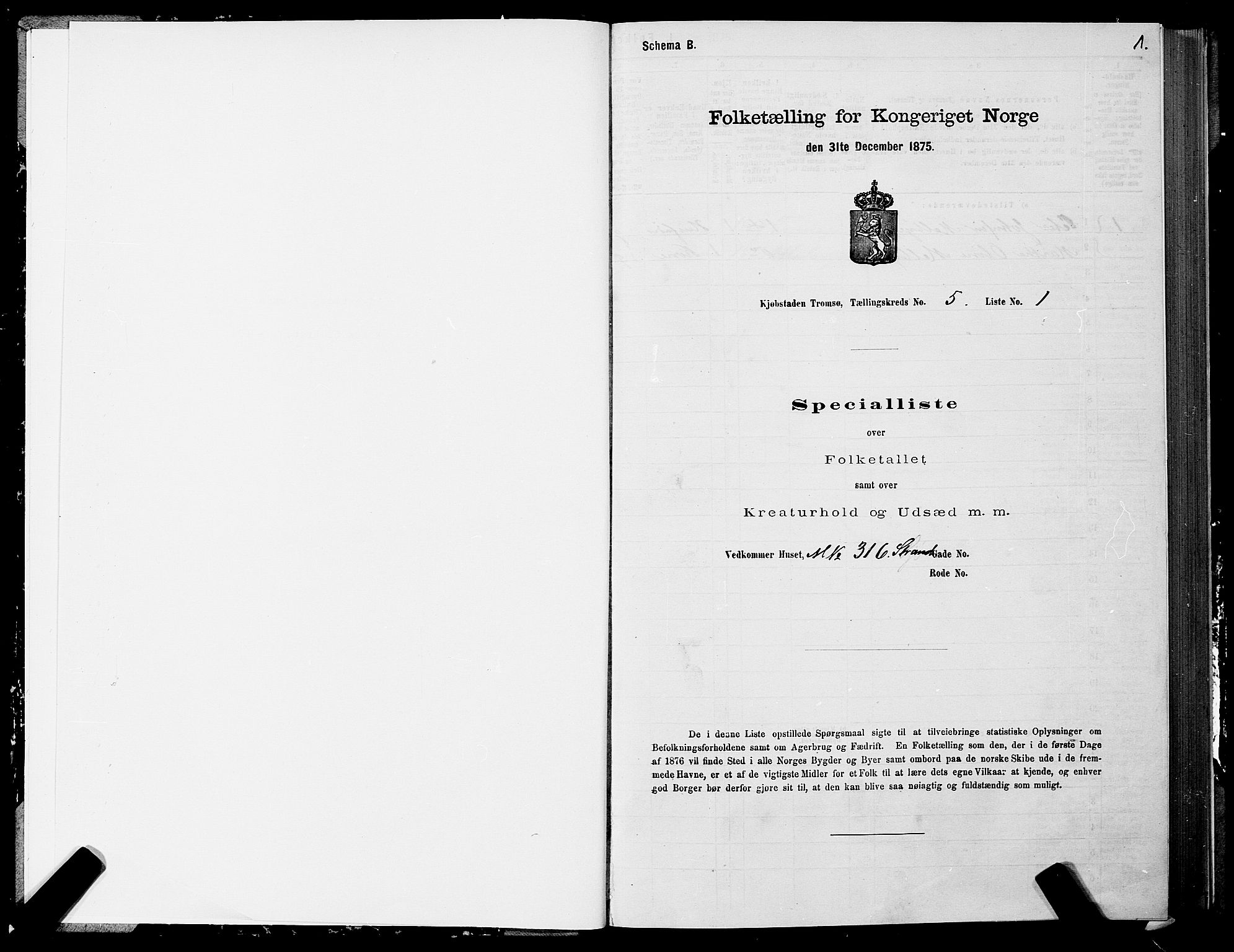 SATØ, 1875 census for 1902P Tromsø, 1875, p. 4001