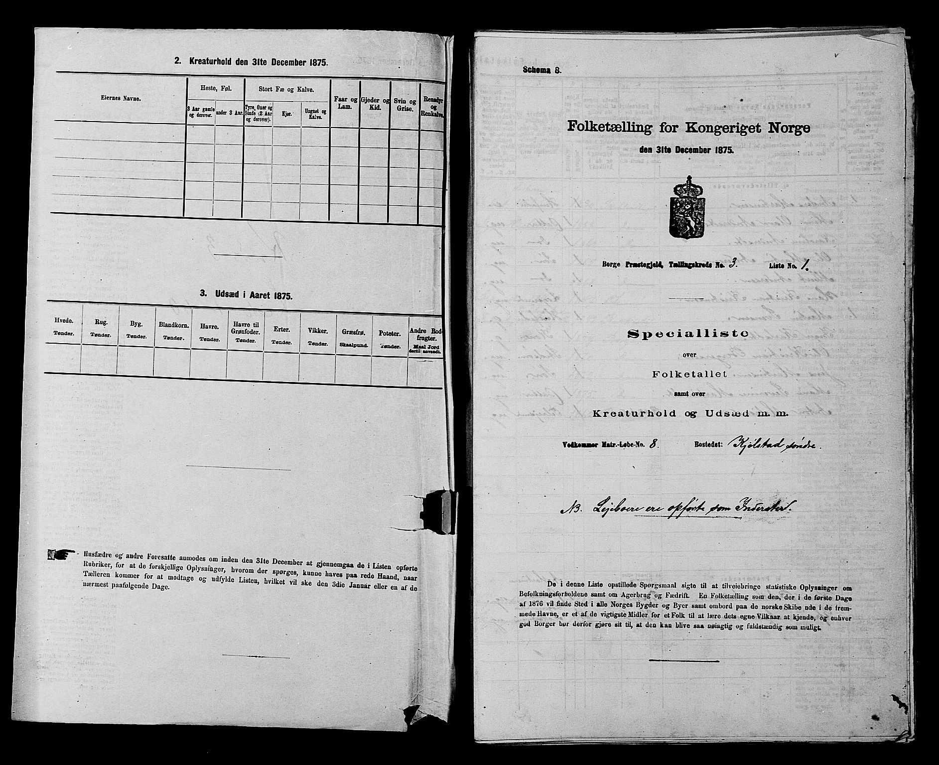 RA, 1875 census for 0113P Borge, 1875, p. 384