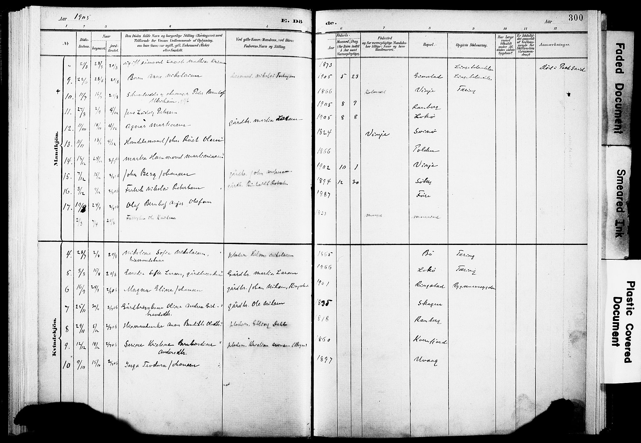 Ministerialprotokoller, klokkerbøker og fødselsregistre - Nordland, AV/SAT-A-1459/891/L1305: Parish register (official) no. 891A10, 1895-1921, p. 300